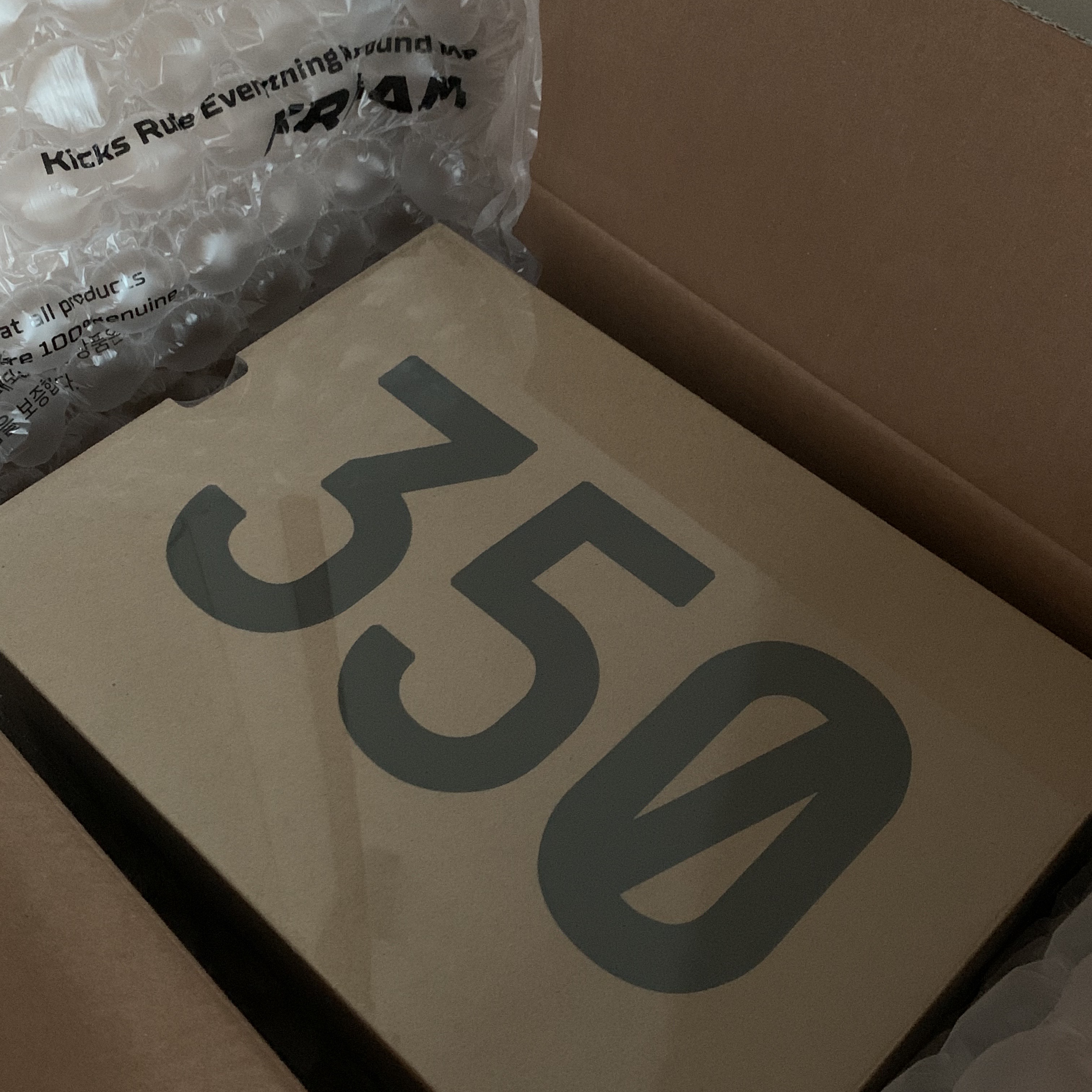 Adidas Yeezy Boost 350 V2 Carbon 착용 스타일 - 1