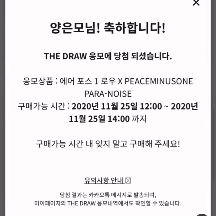 Nike x Peaceminusone Air Force 1 Low Para-Noise 2.0 착용 스타일 - 2