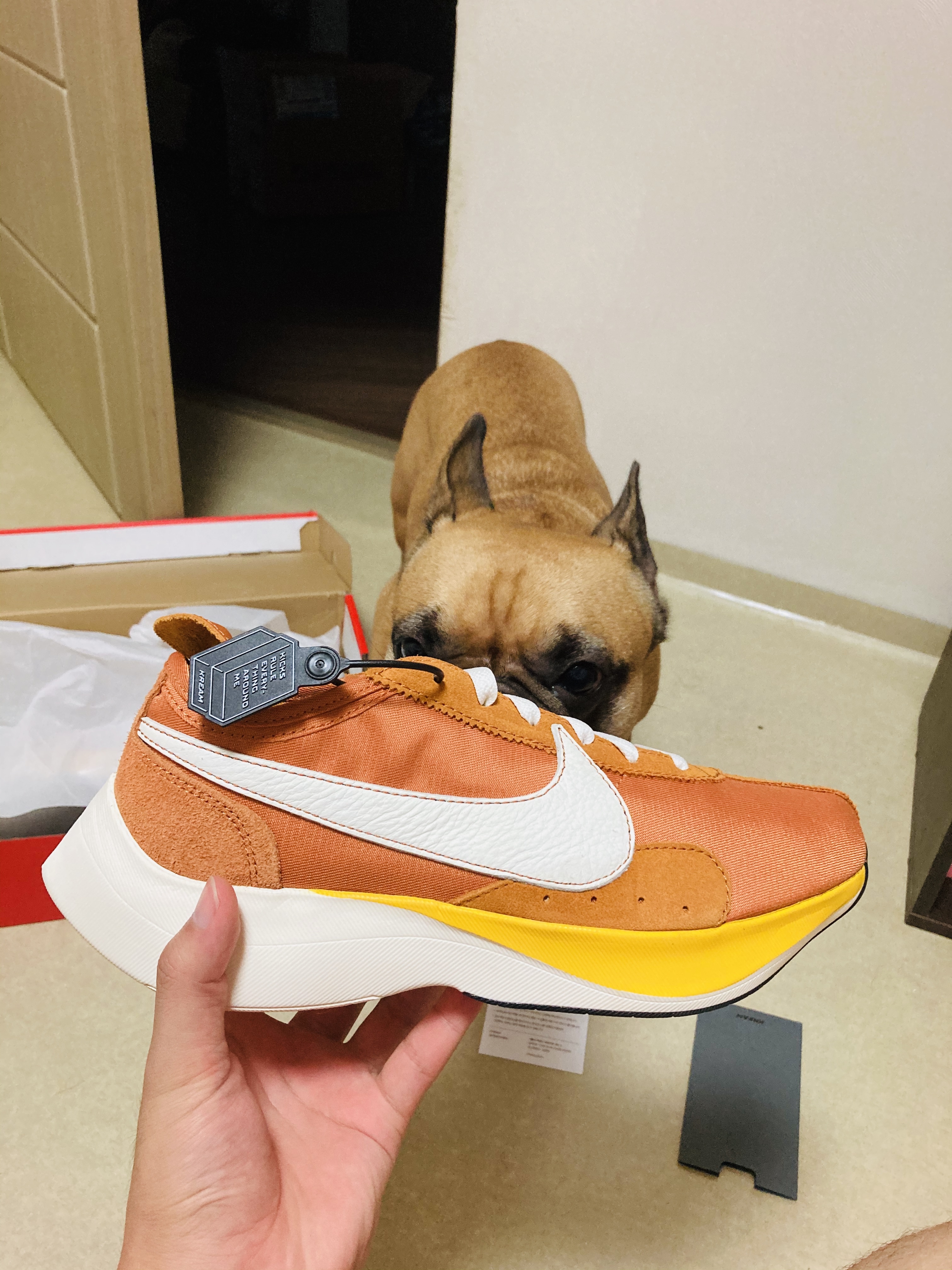 Nike Moon Racer Monarch 착용 스타일 - 5