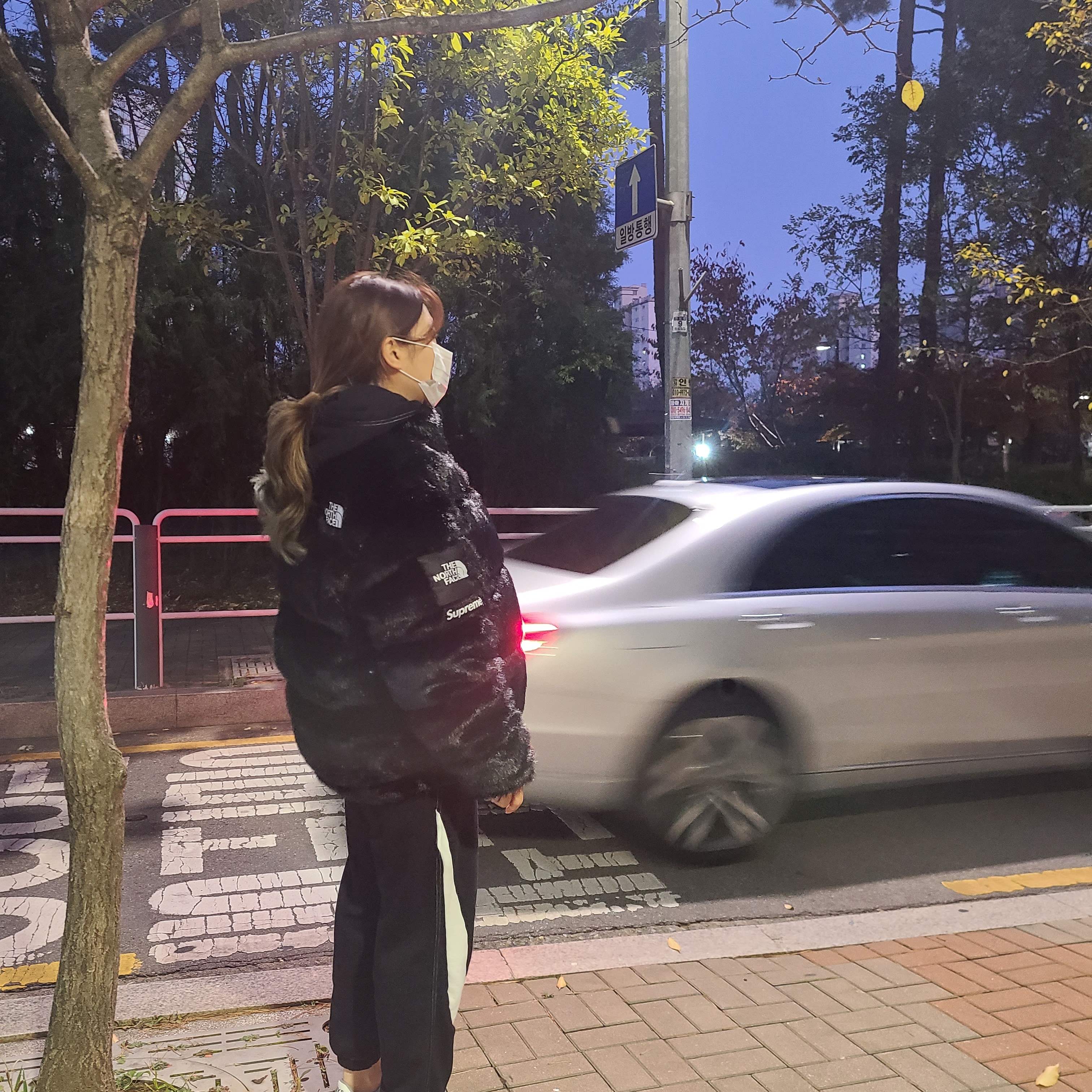 Supreme x The North Face Faux Fur Nuptse Jacket Black - 20FW, Nike x Sacai x Fragment LDWaffle Light Smoke Grey 착용 스타일 - 2