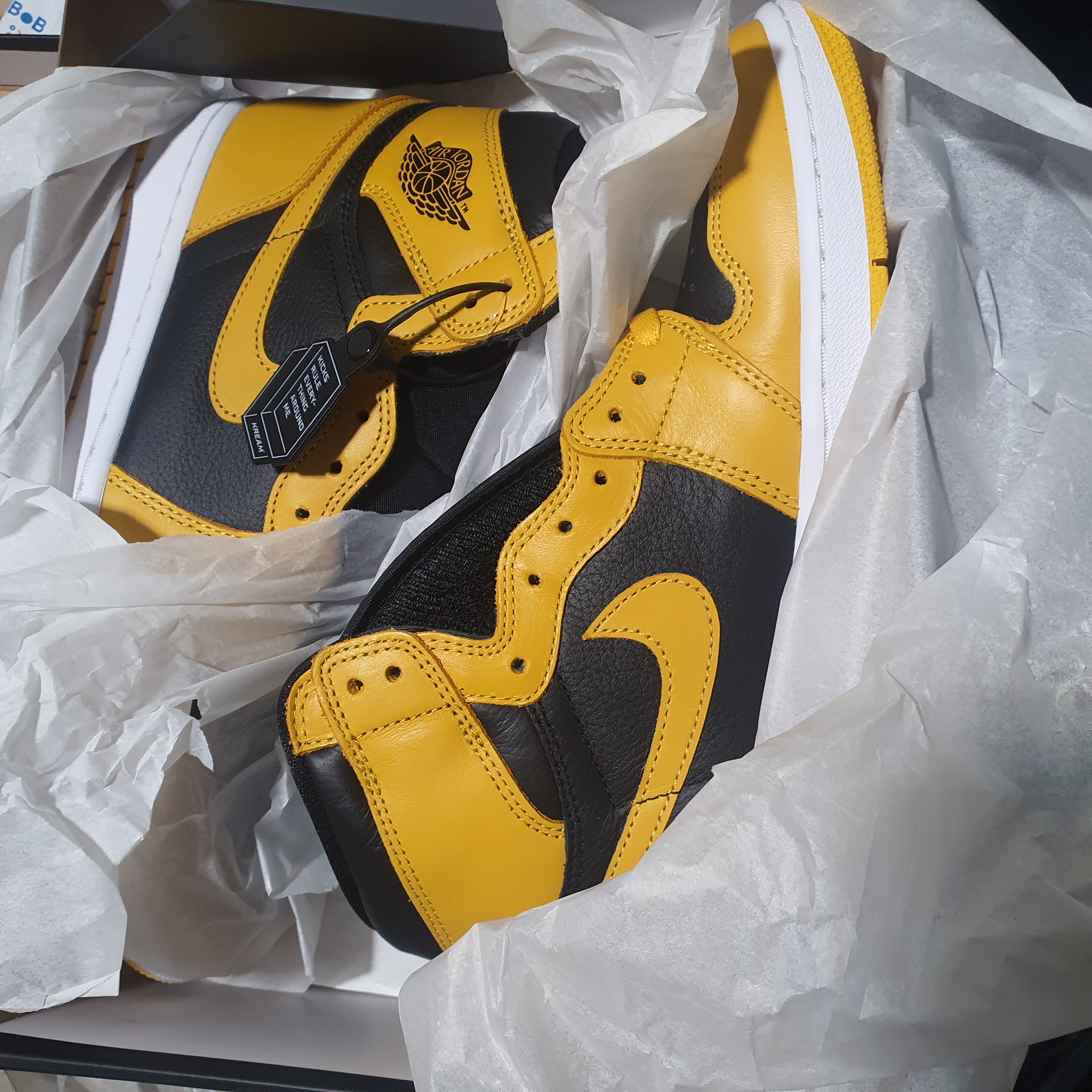 Jordan 1 Retro High OG Pollen 착용 스타일 - 1
