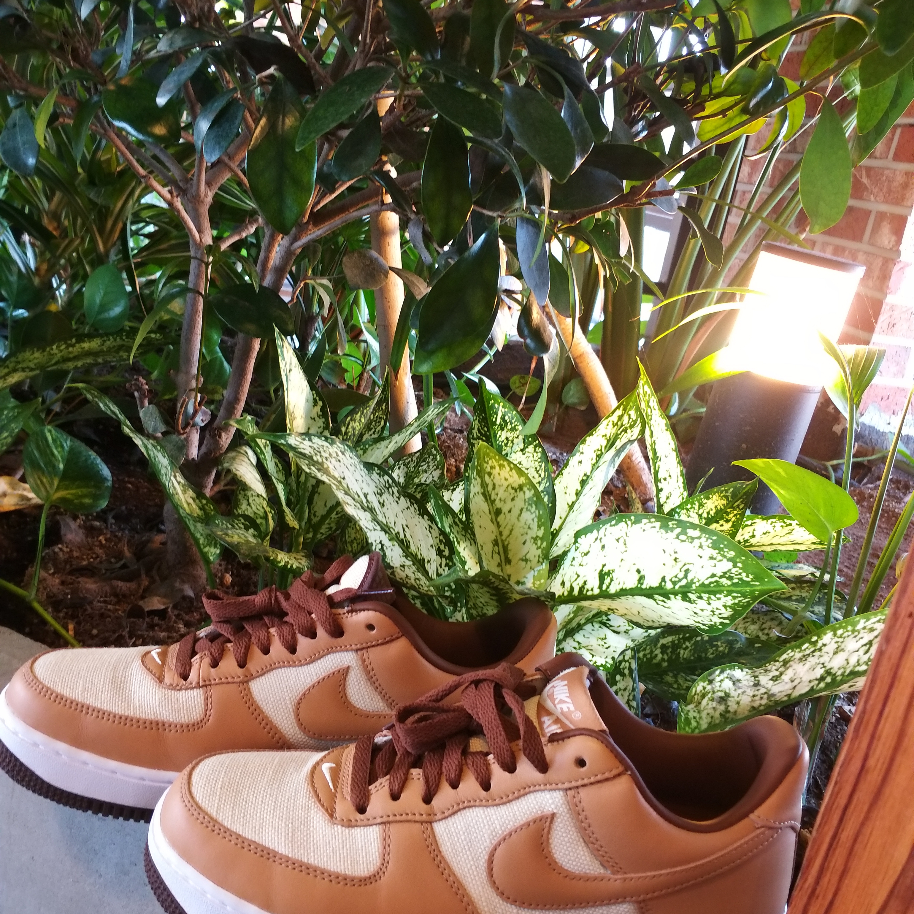 Nike Air Force 1 Low QS Acorn 2021 착용 스타일
