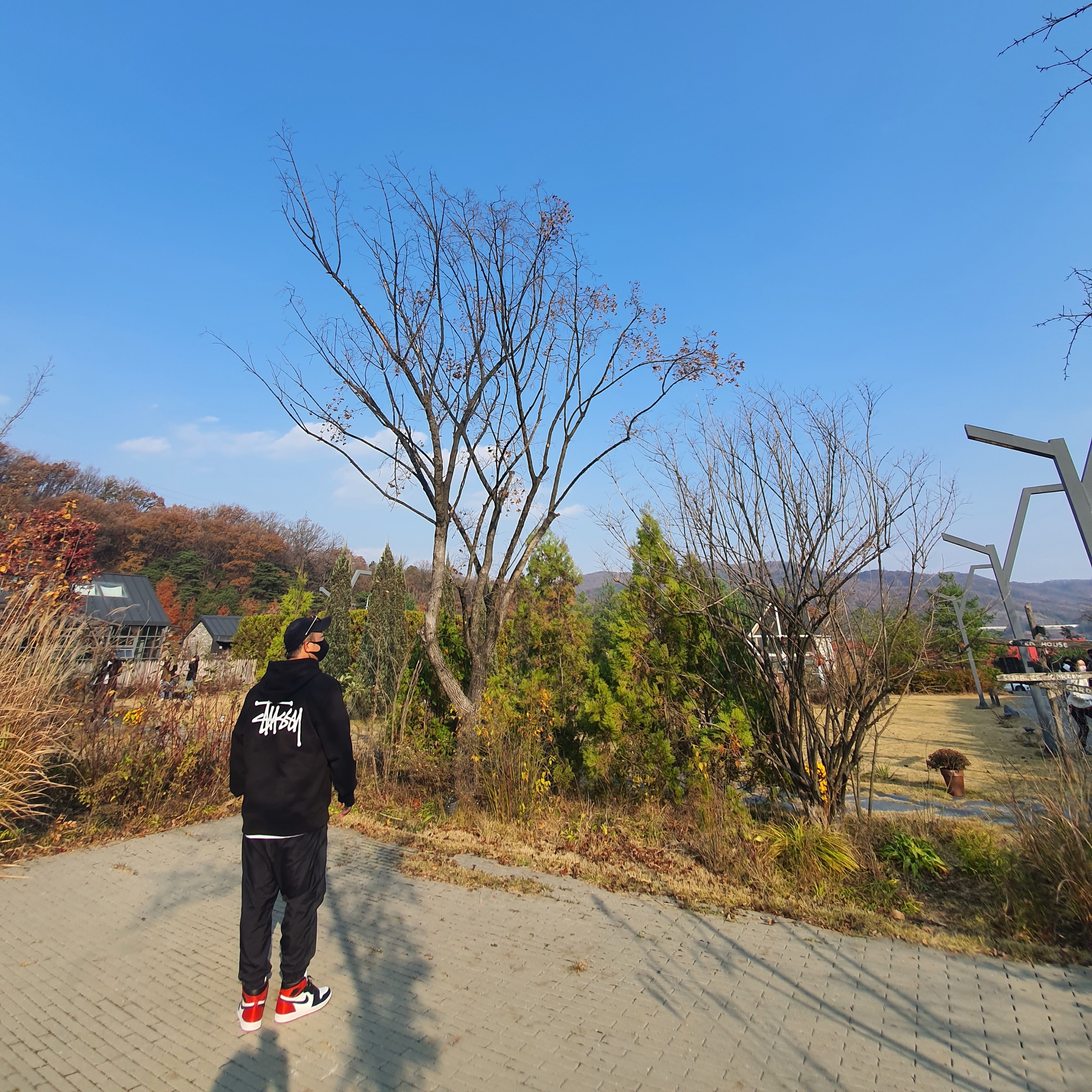 Stussy Basic Stussy Hoodie Black 2021, (W) Jordan 1 Retro High Satin Black Toe 착용 스타일