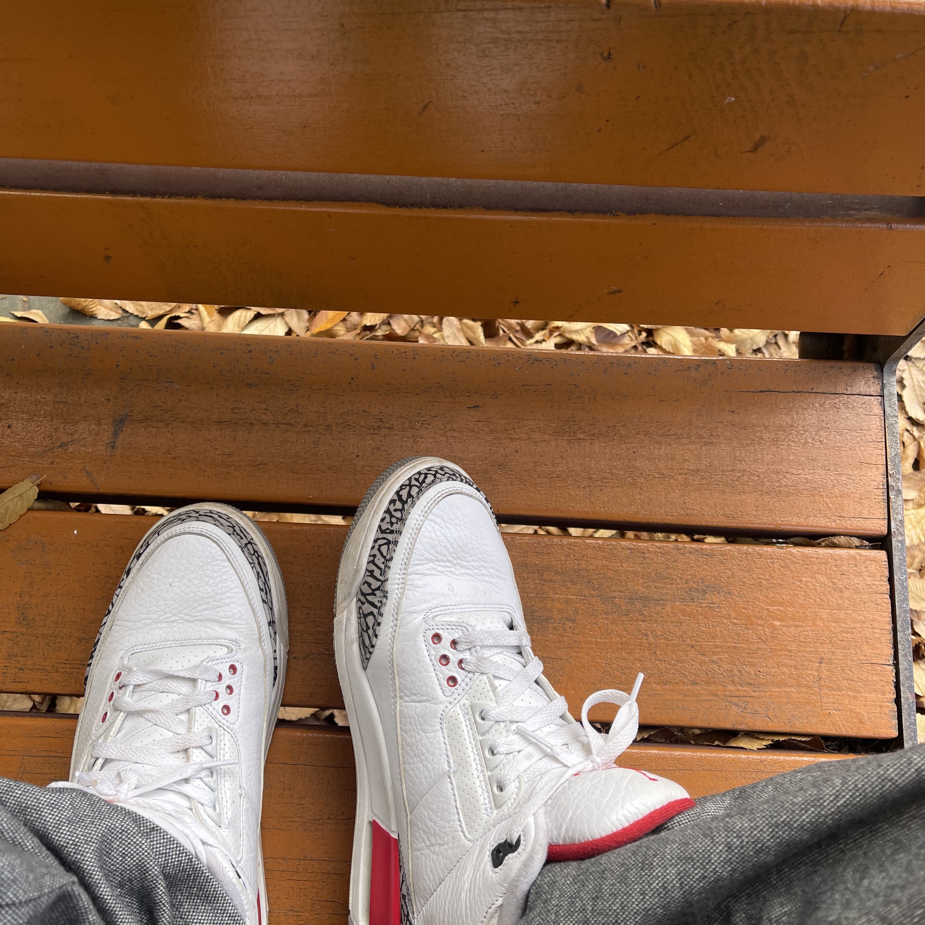 Jordan 3 Retro Hall of Fame 착용 스타일