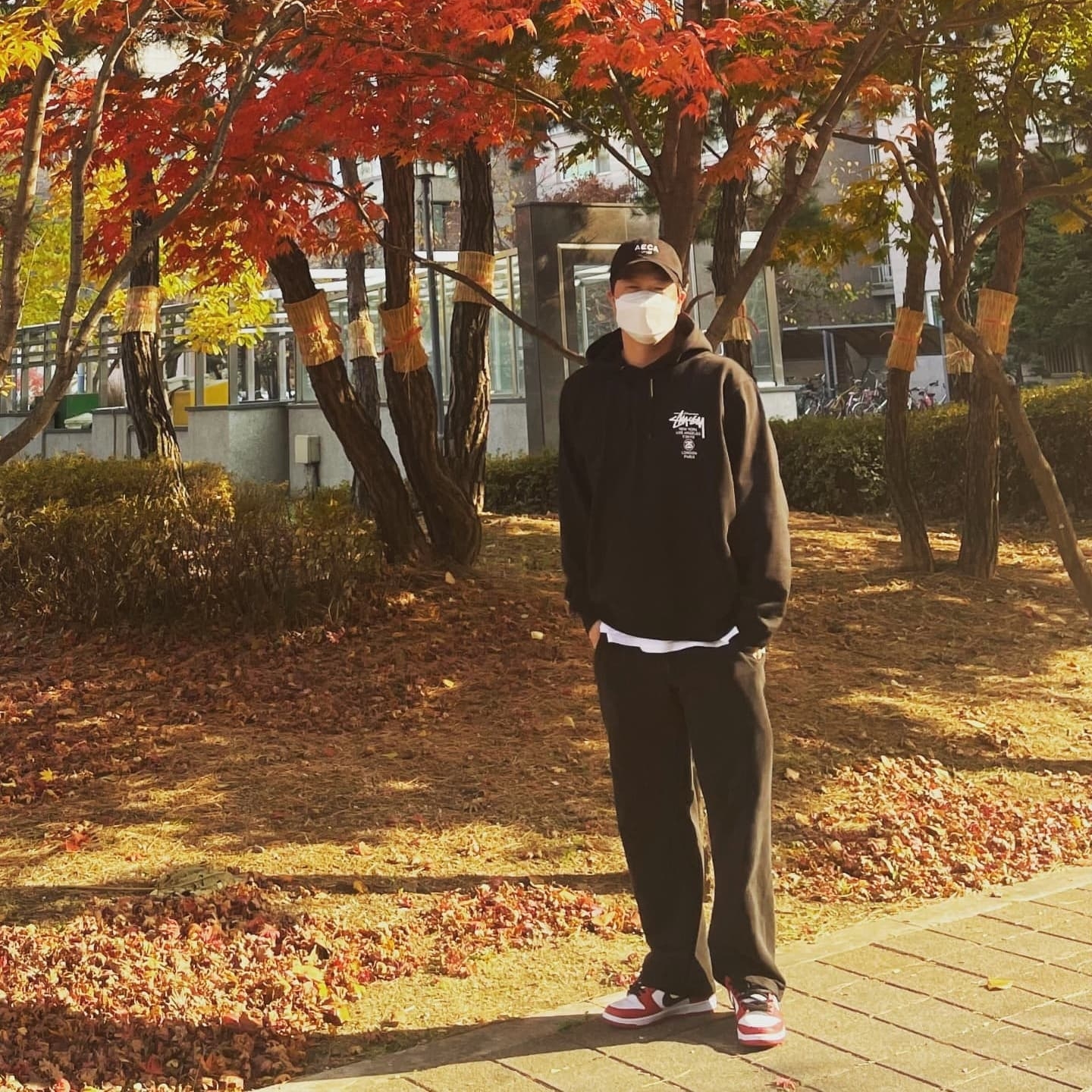 Nike SB Dunk Low Pro Chicago, Stussy DSM World Tour Hoodie Black 2021 착용 스타일
