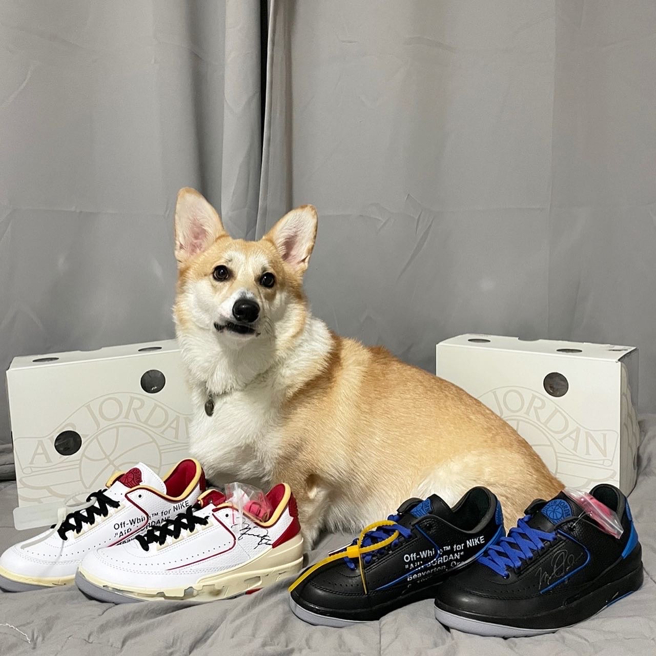 Jordan 2 x Off-White Retro Low SP White and Varsity Red, Jordan 2 x Off-White Retro Low SP Black and Varsity Royal 착용 스타일