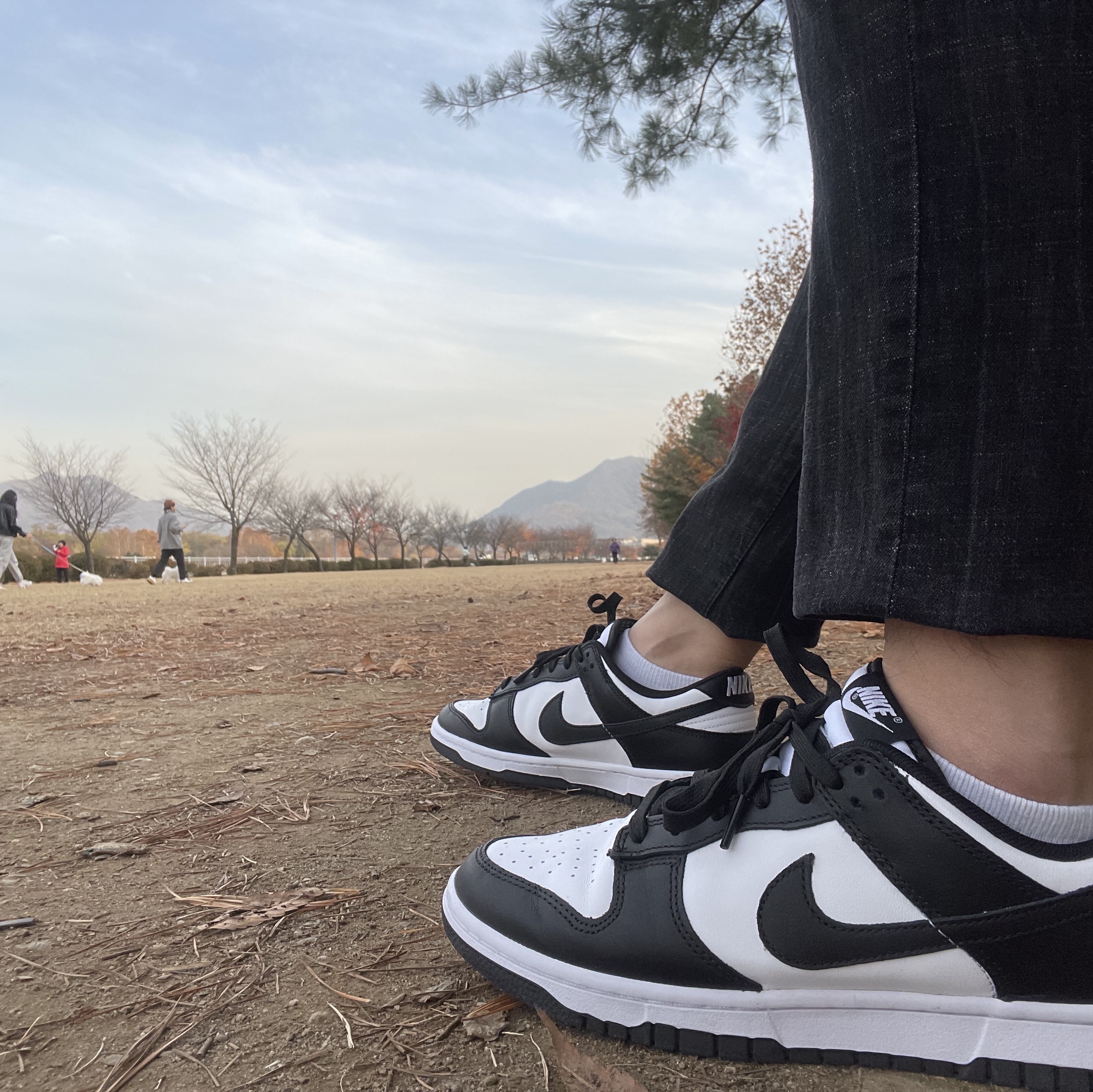 Nike Dunk Low Retro Black 착용 스타일
