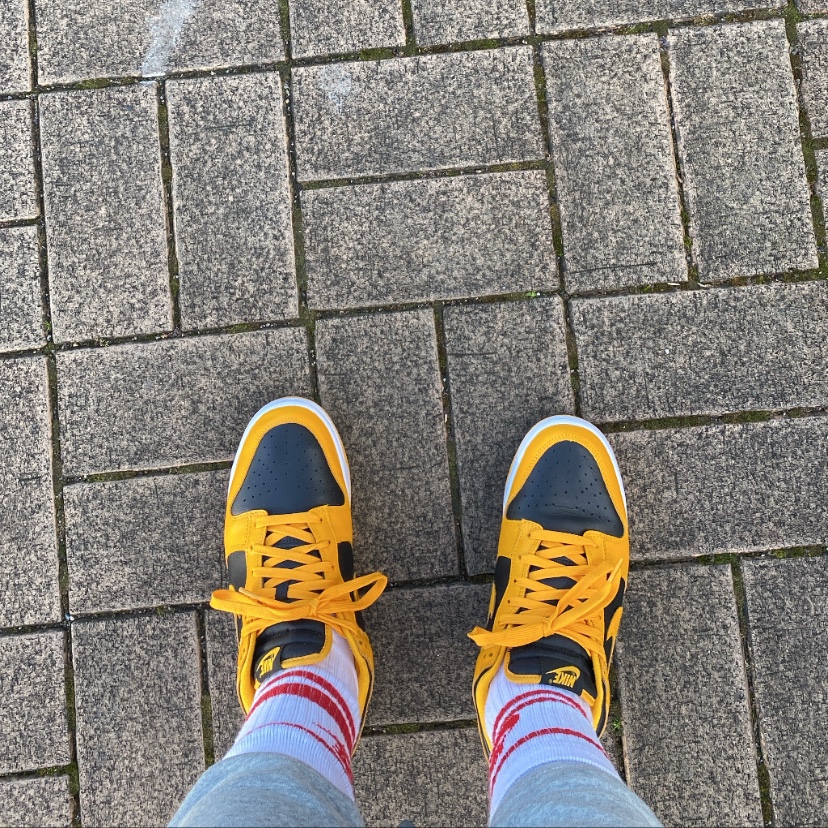 Nike Dunk Low Retro Championship Goldenrod 착용 스타일