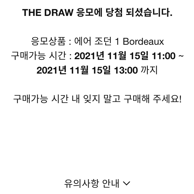 Jordan 1 Retro High OG Bordeaux 착용 스타일