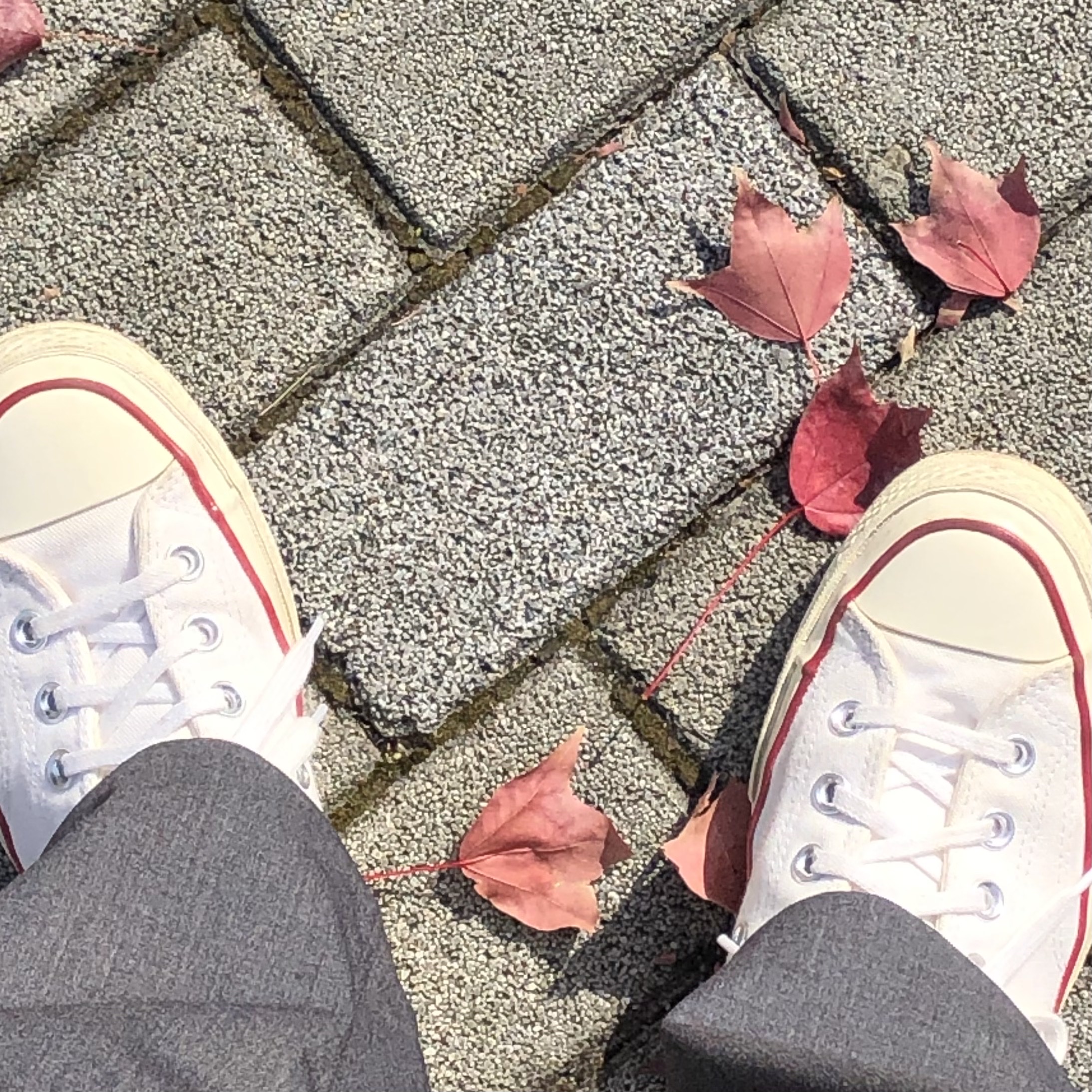 Converse Chuck 70 Ox White - Standard 착용 스타일 - 3
