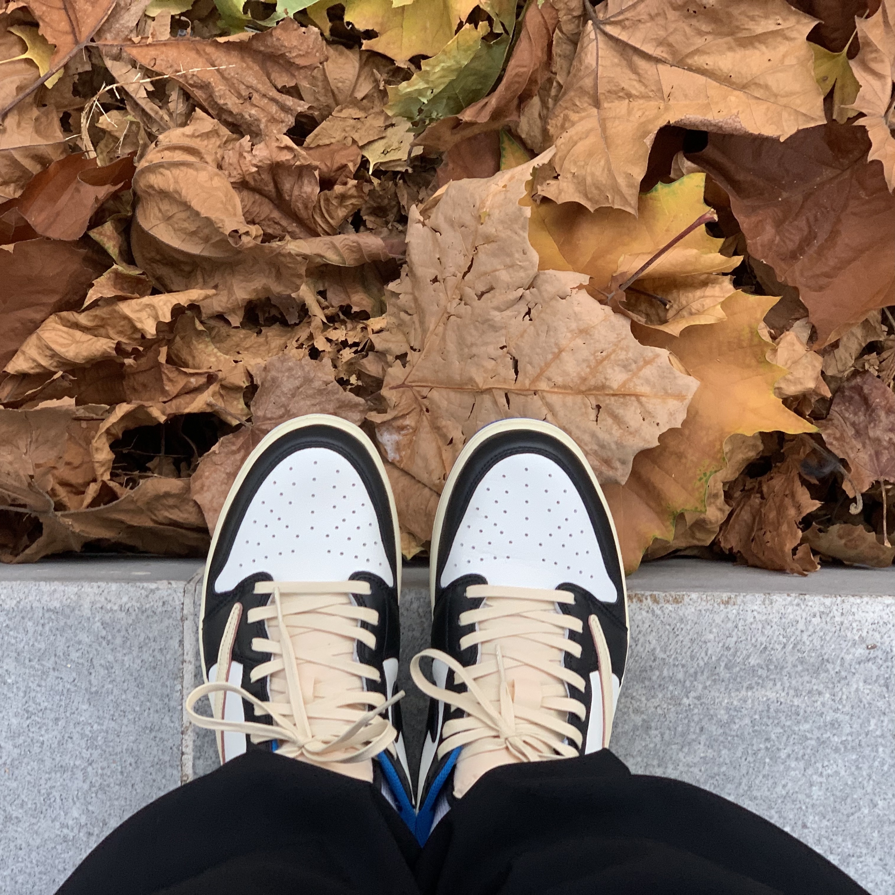 Jordan 1 x Travis Scott x Fragment Retro Low OG SP Military Blue 착용 스타일 - 2