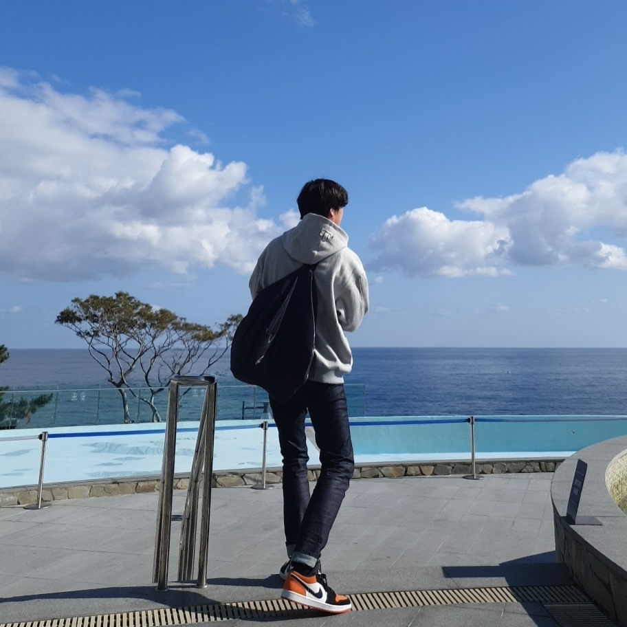 Jordan 1 Low Shattered Backboard 착용 스타일