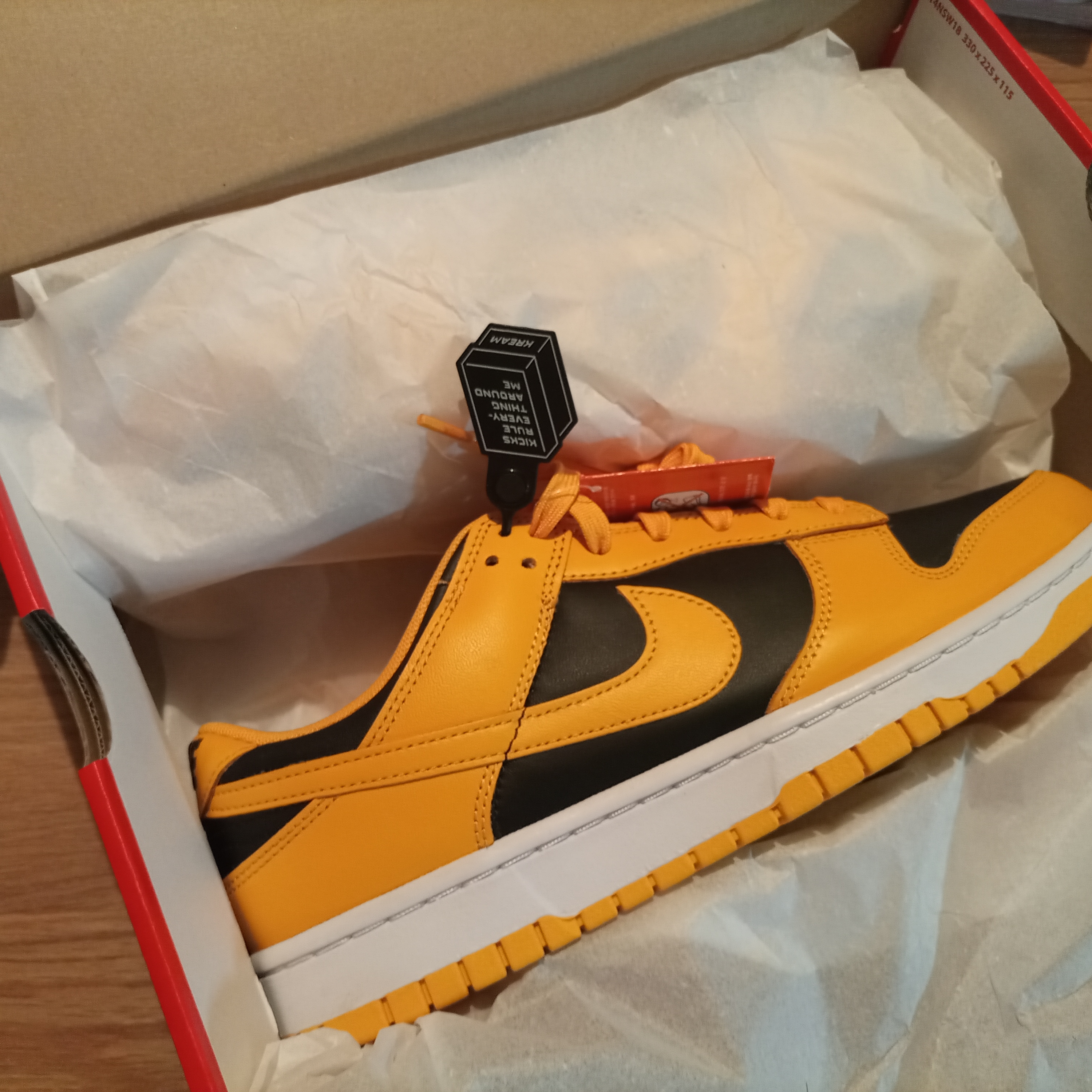 Nike Dunk Low Retro Championship Goldenrod 착용 스타일
