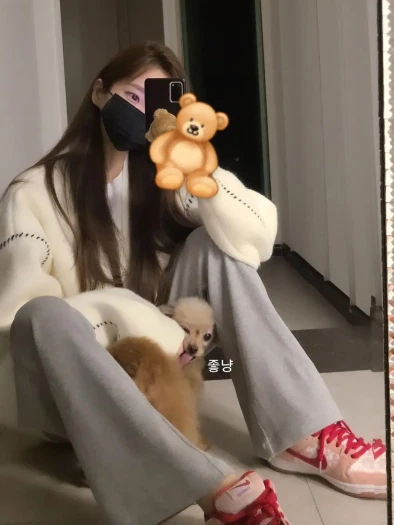 스타일 카드
