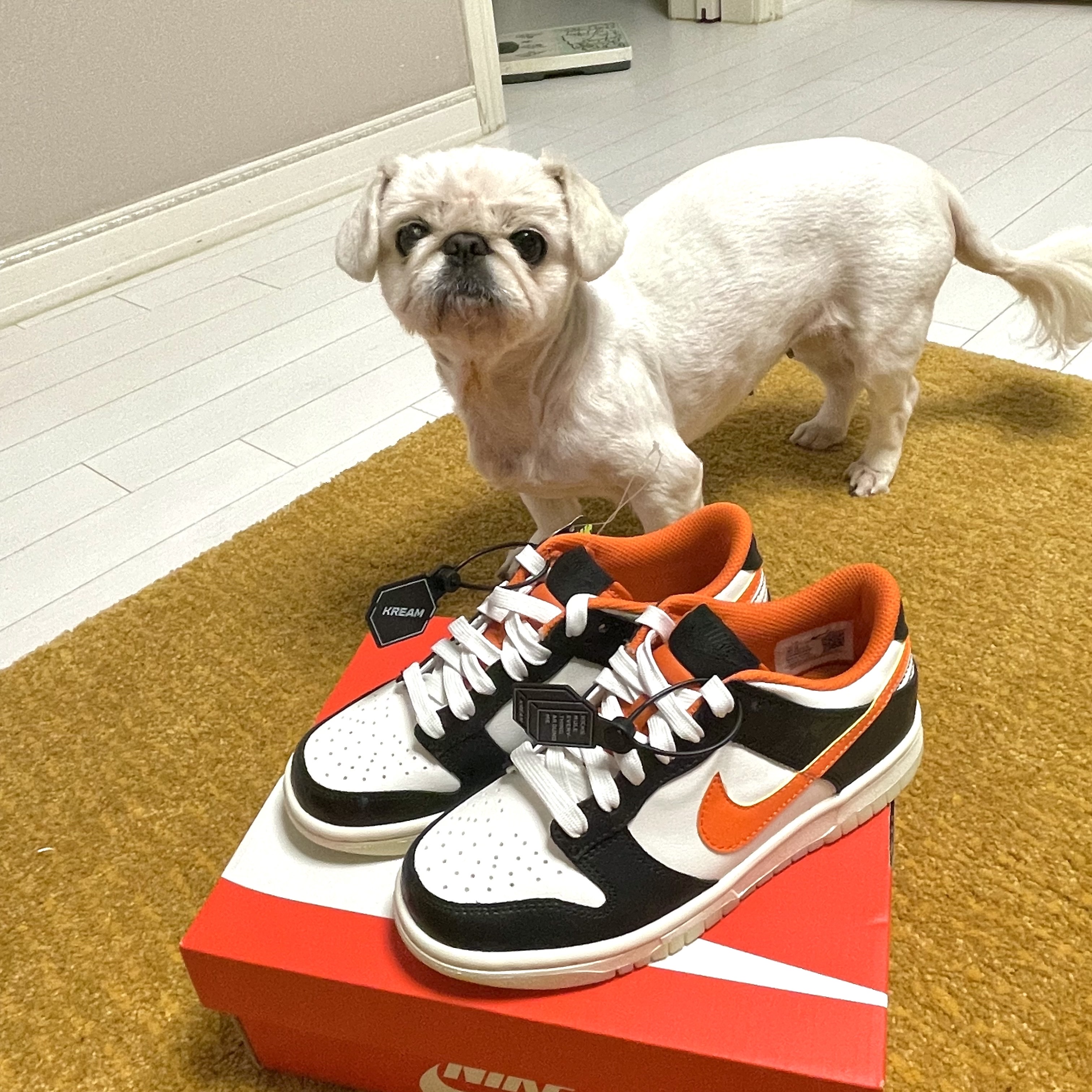 (GS) Nike Dunk Low PRM Halloween 착용 스타일 - 1