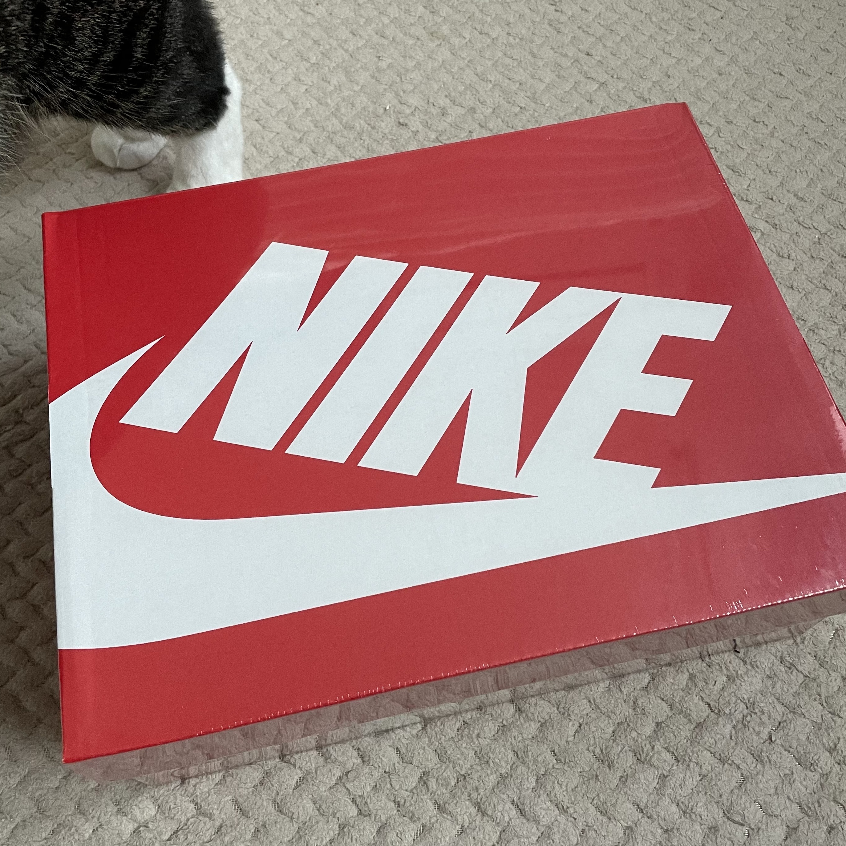 (GS) Nike x NBA Dunk Low Nets 착용 스타일 - 1