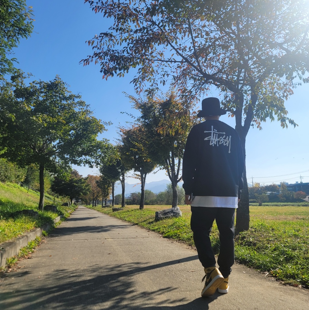 Jordan 1 Retro High OG Pollen, Stussy Basic Stussy LS T-Shirt Black 2021 착용 스타일