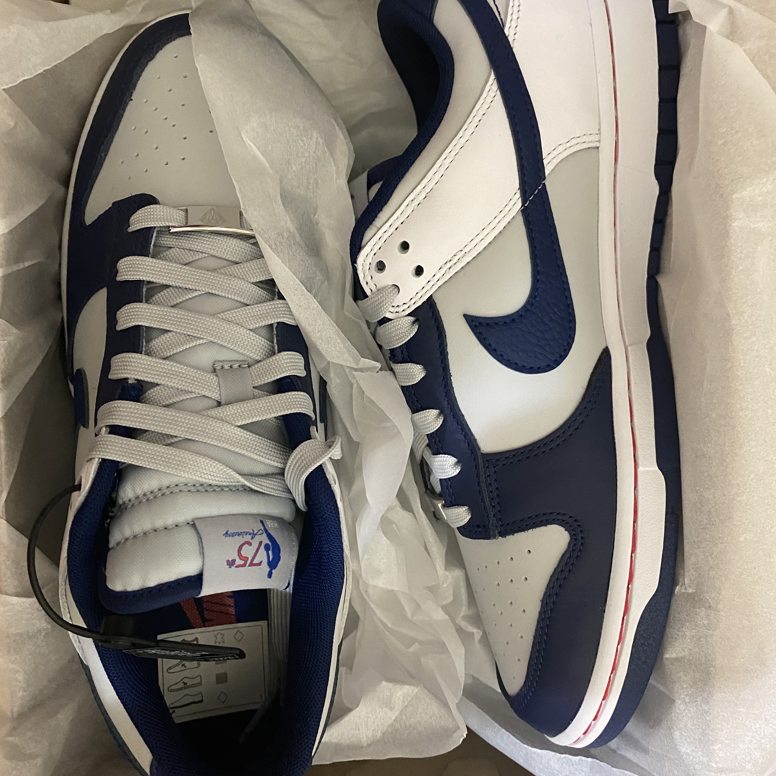 Nike x NBA Dunk Low Retro EMB Nets 착용 스타일 - 1