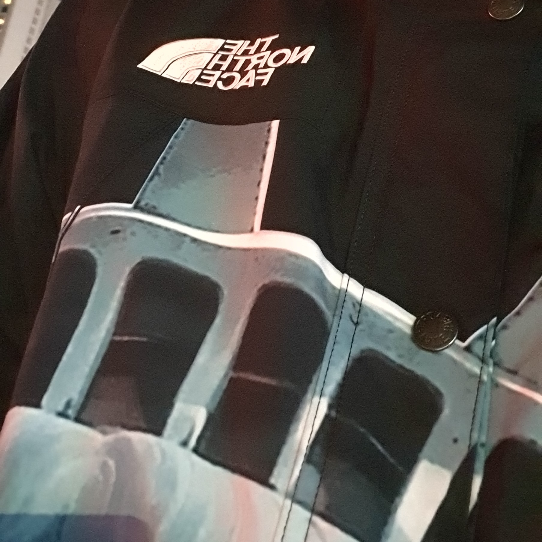 Supreme x The North Face Statue of Liberty Mountain Jacket Black - 19FW 착용 스타일