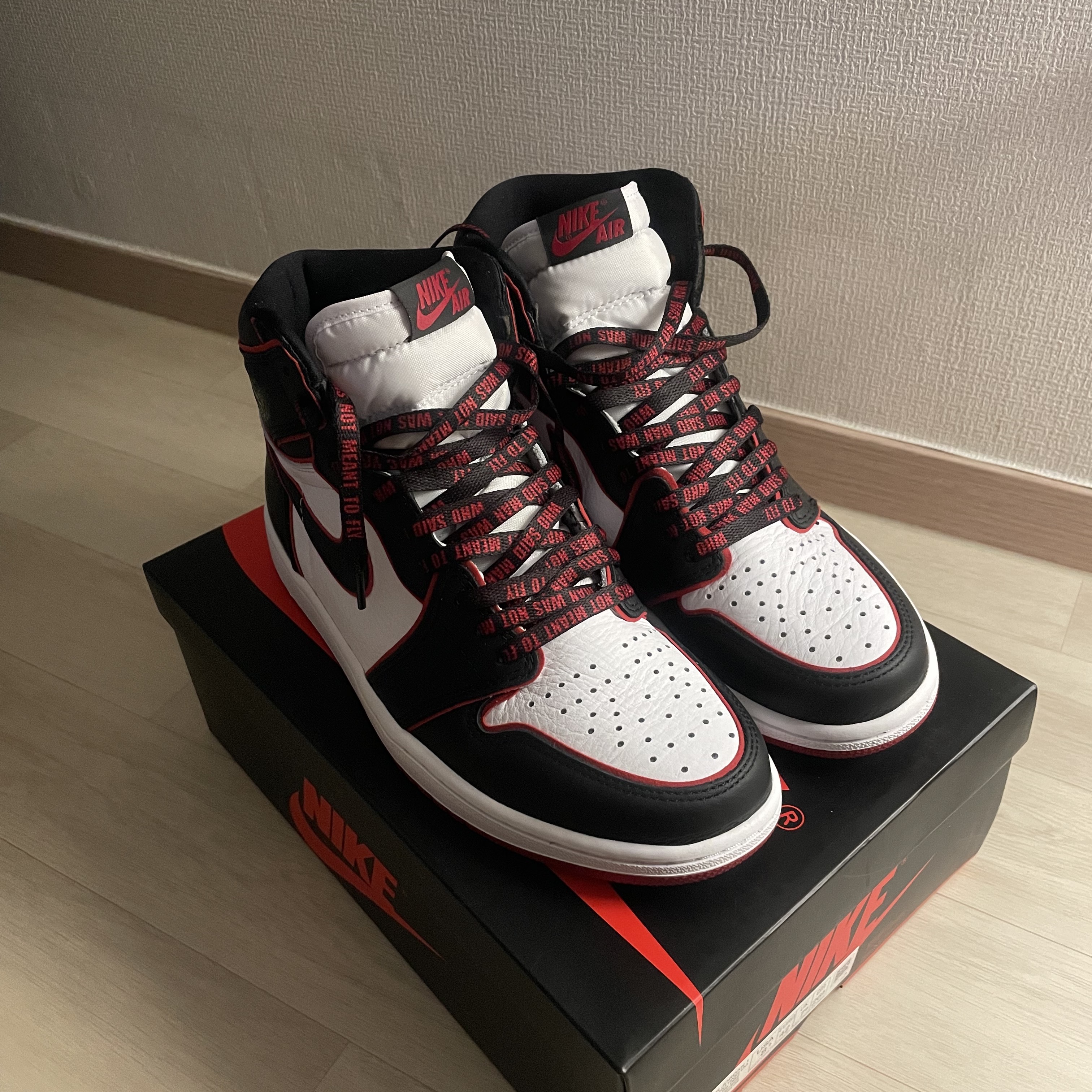 Jordan 1 Retro High OG Bloodline 착용 스타일
