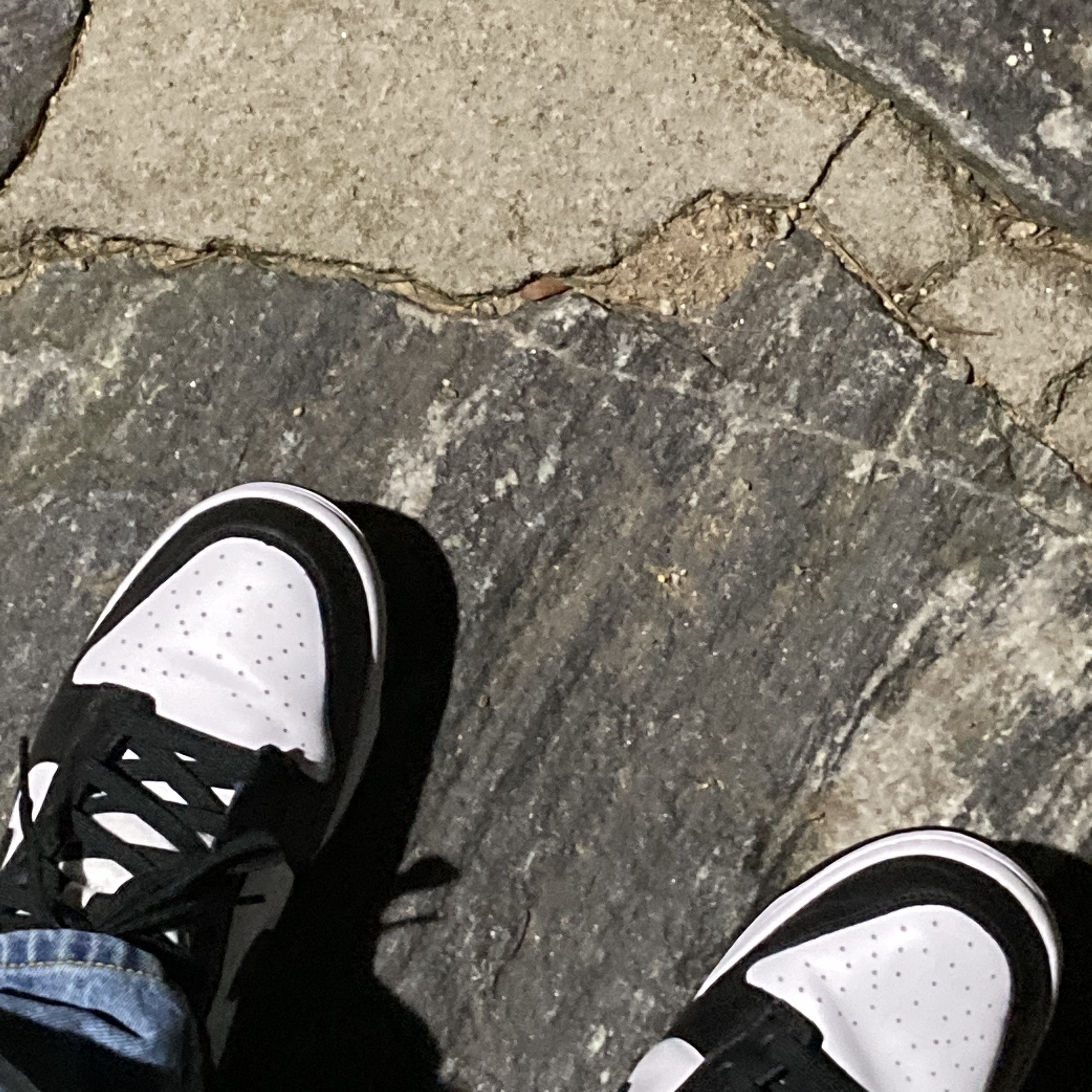 Nike Dunk Low Retro Black 착용 스타일