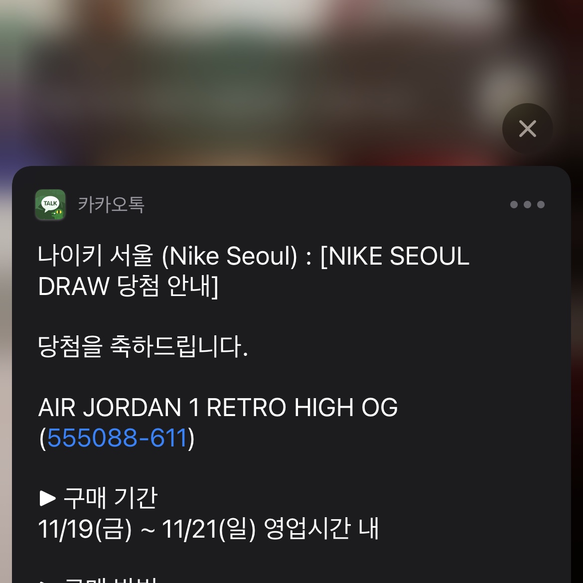 Jordan 1 Retro High OG Bordeaux 착용 스타일