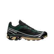 Salomon XT-6 FT Ponderosa Pine