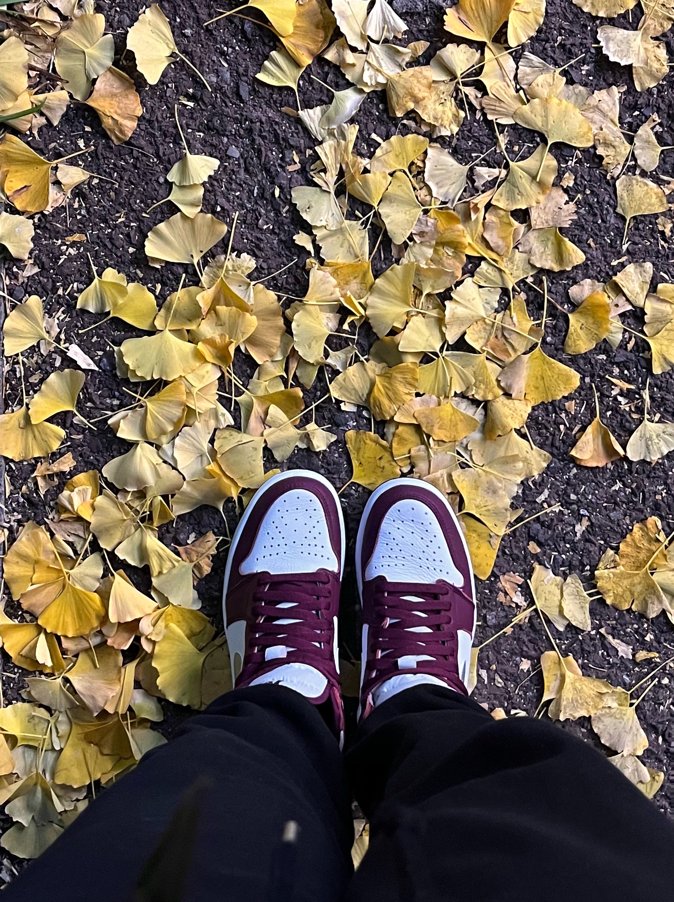 Jordan 1 Retro High OG Bordeaux 착용 스타일 - 1
