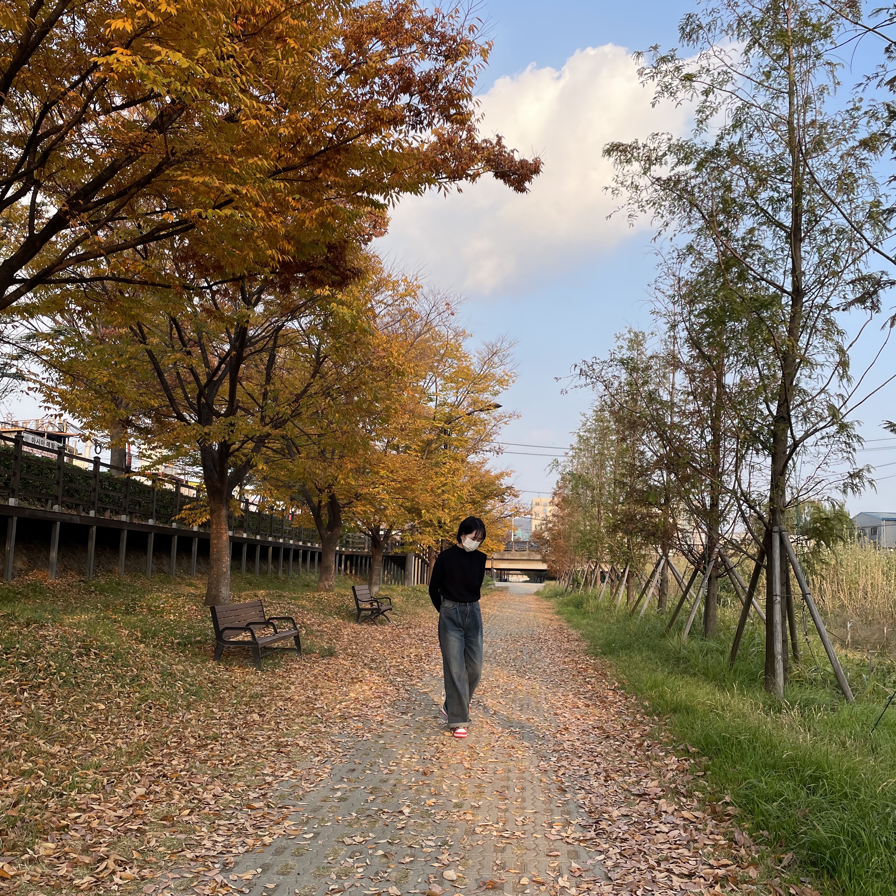 (GS) Nike x NBA Dunk Low Black and Chile Red 착용 스타일 - 1