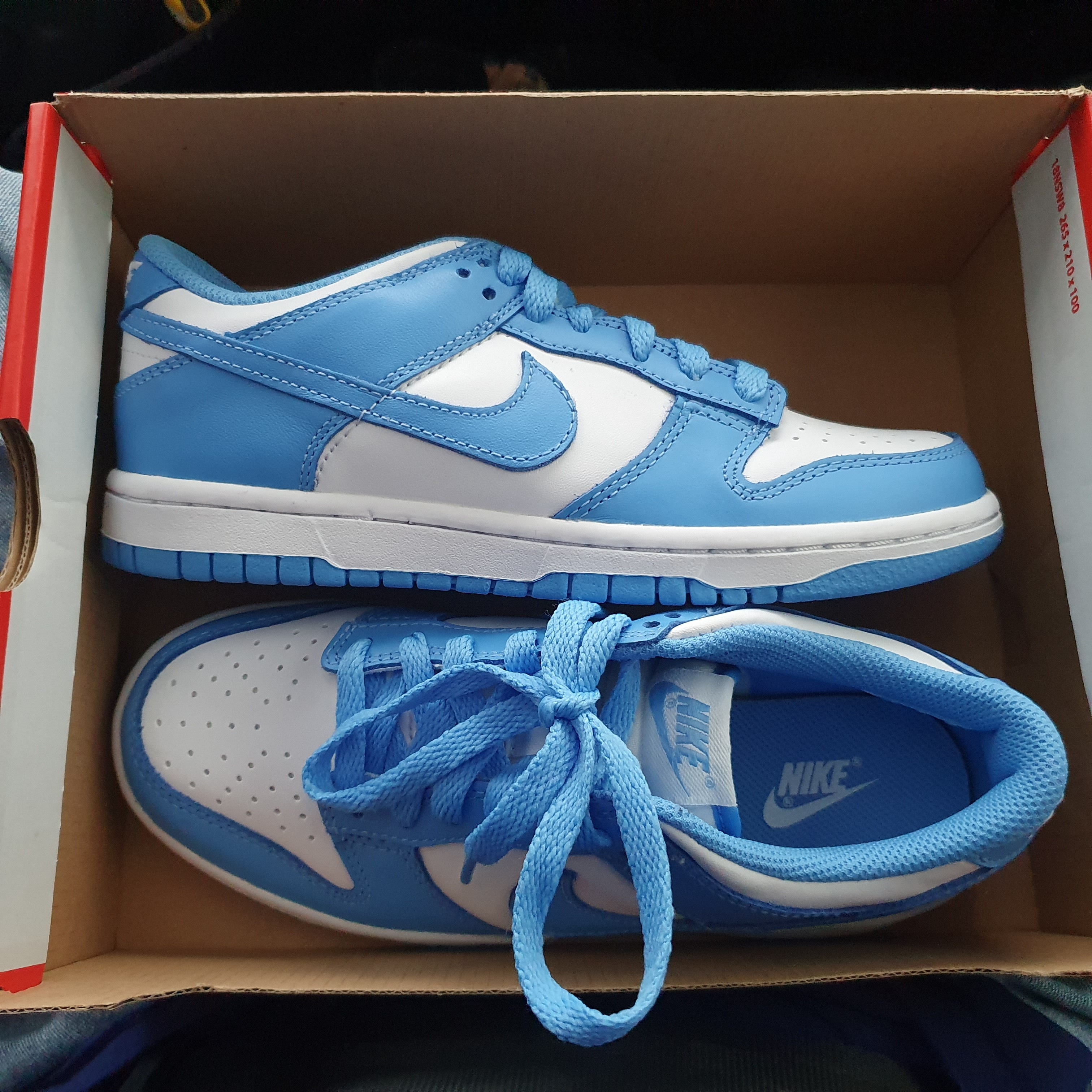 Nike Dunk Low Retro University Blue 착용 스타일