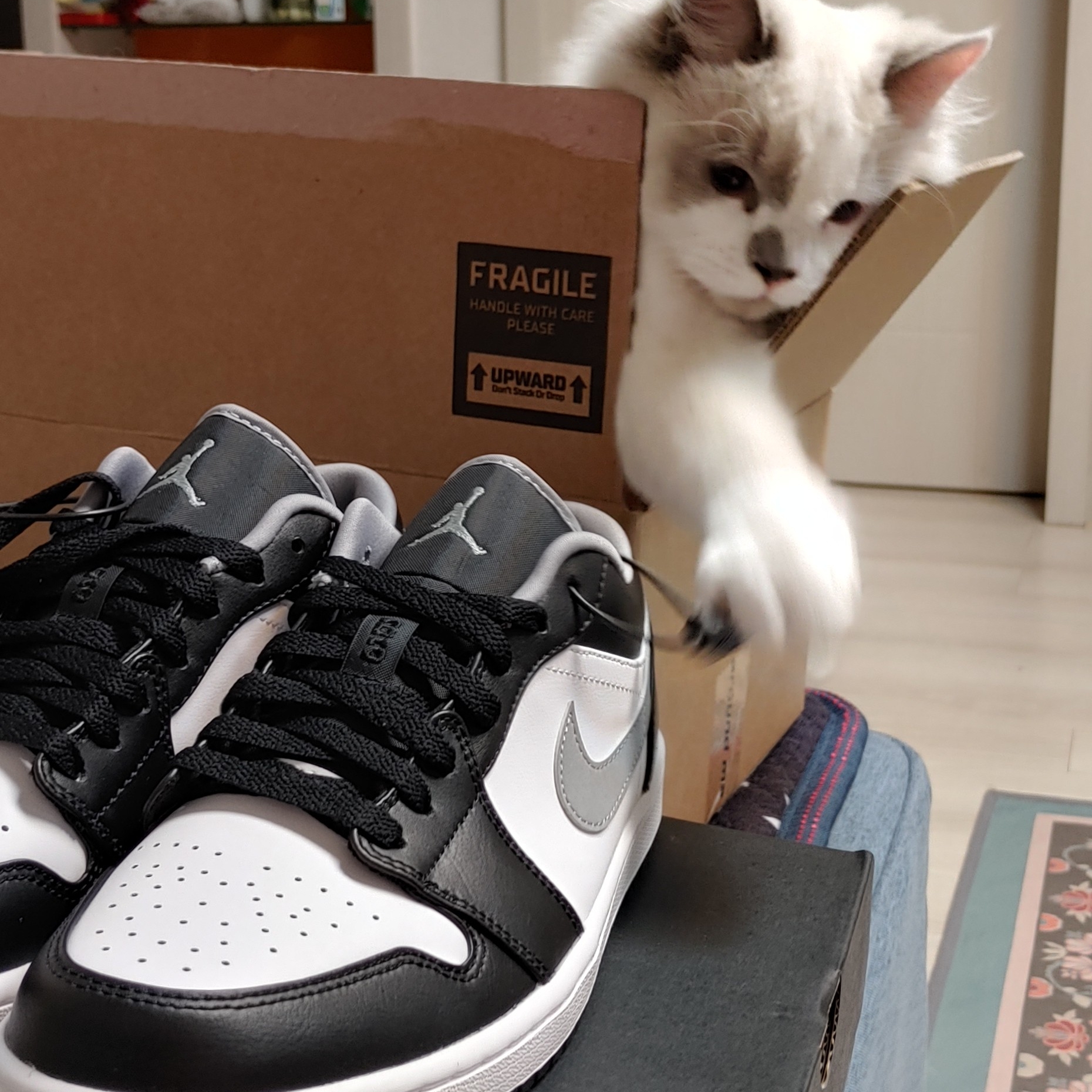 Jordan 1 Low Black Particle Grey 착용 스타일 - 1