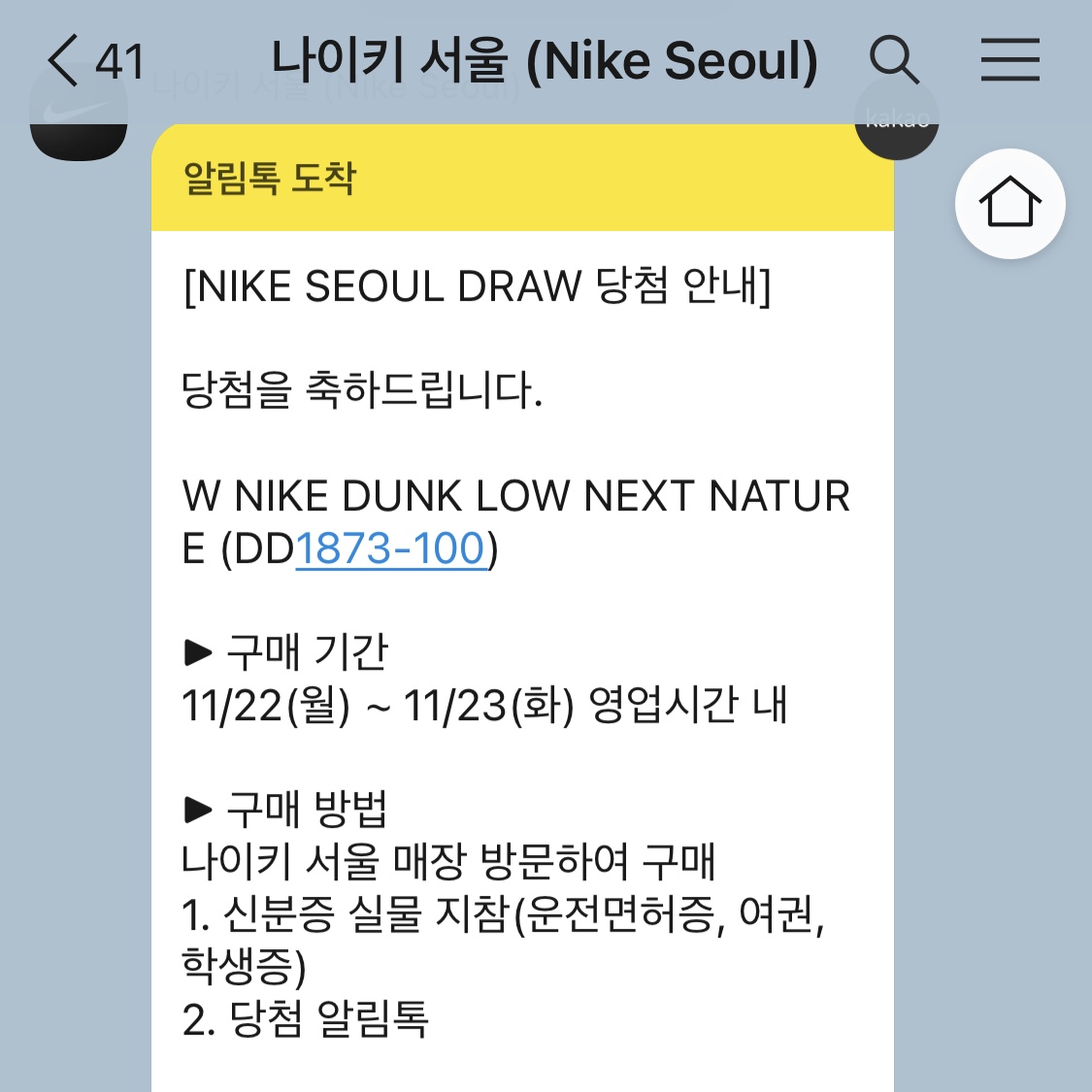 (W) Nike Dunk Low Next Nature Pale Coral 착용 스타일