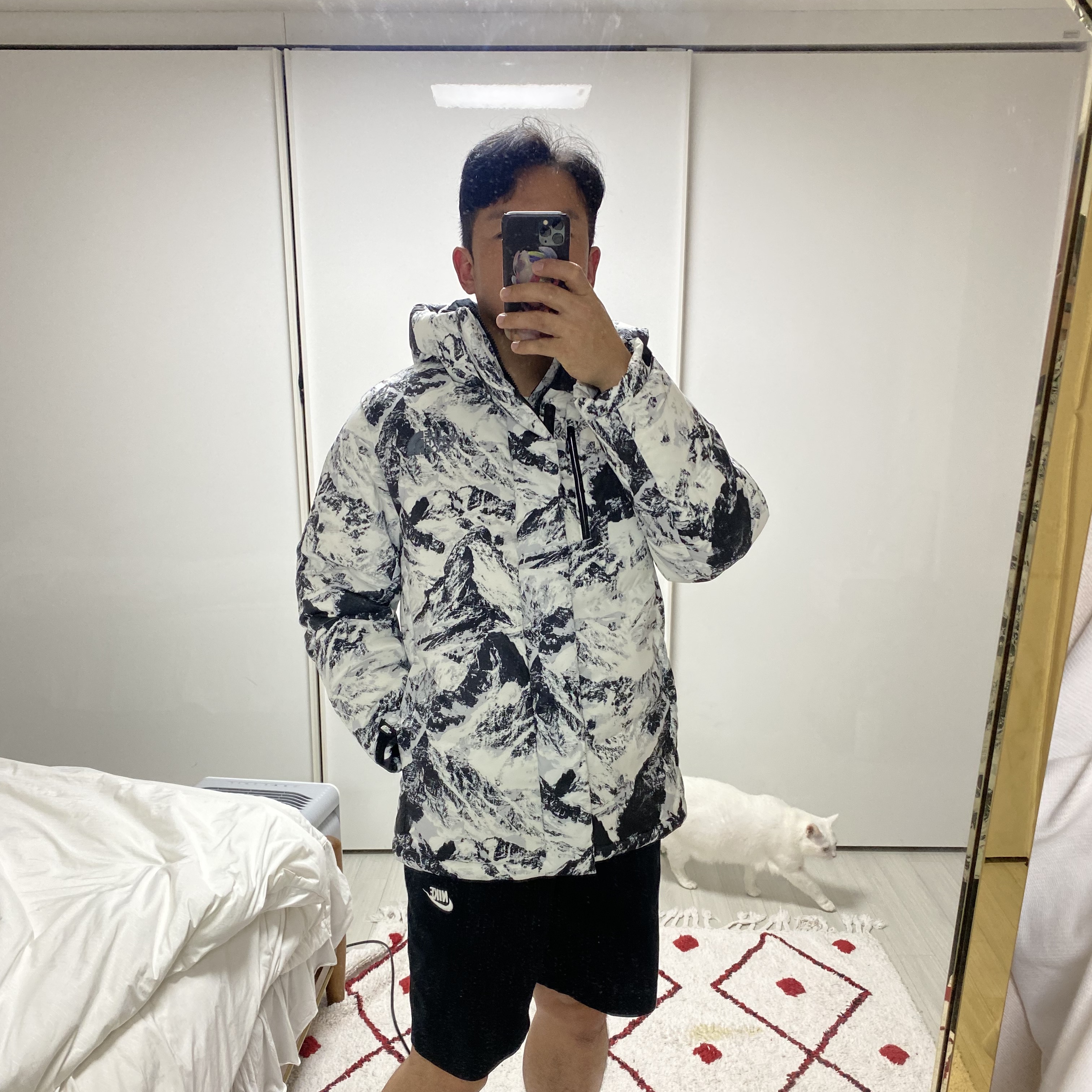The North Face Challenge Air Down Jacket Gray 착용 스타일