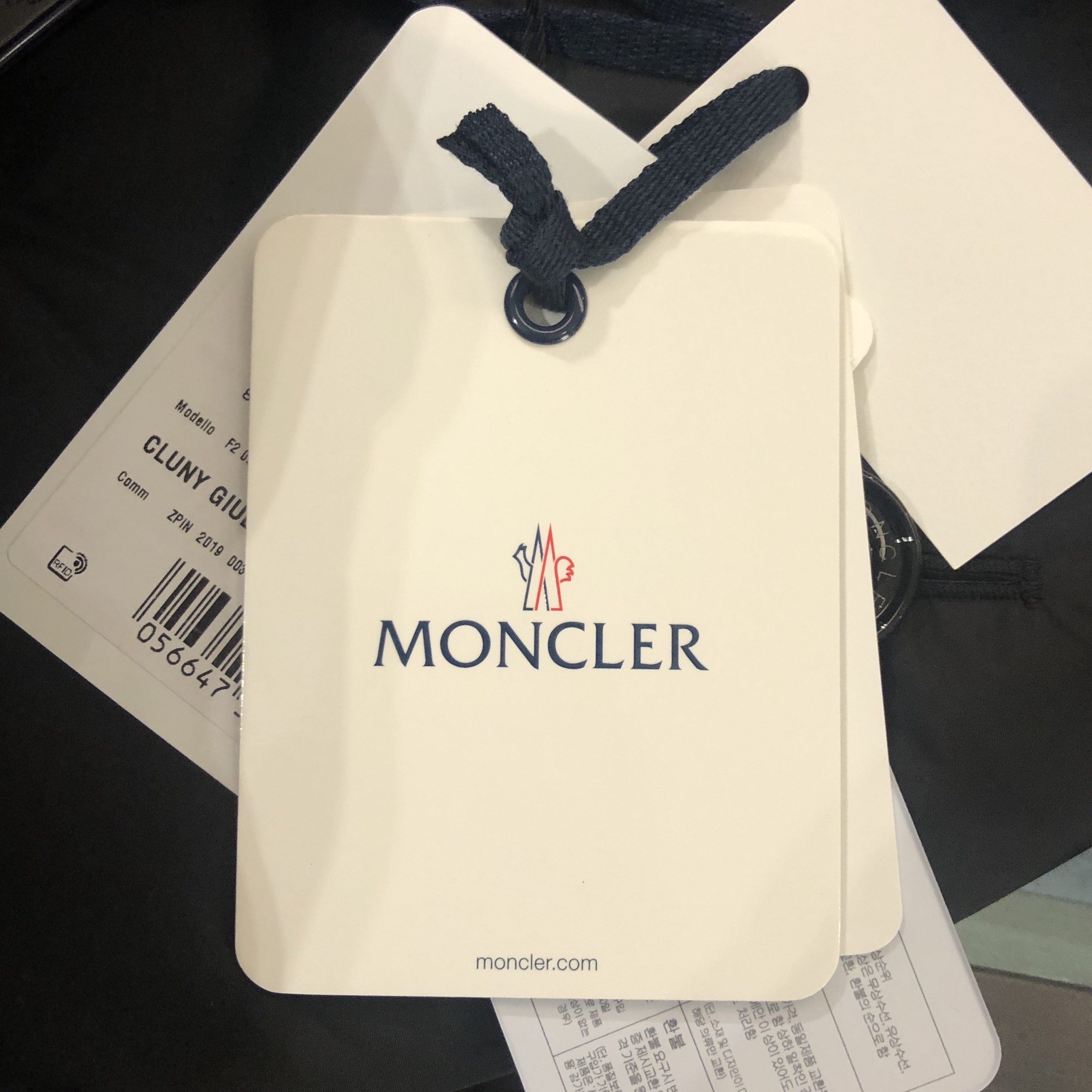 Moncler Cluny Long Down Jacket Black - 21FW 착용 스타일 - 3