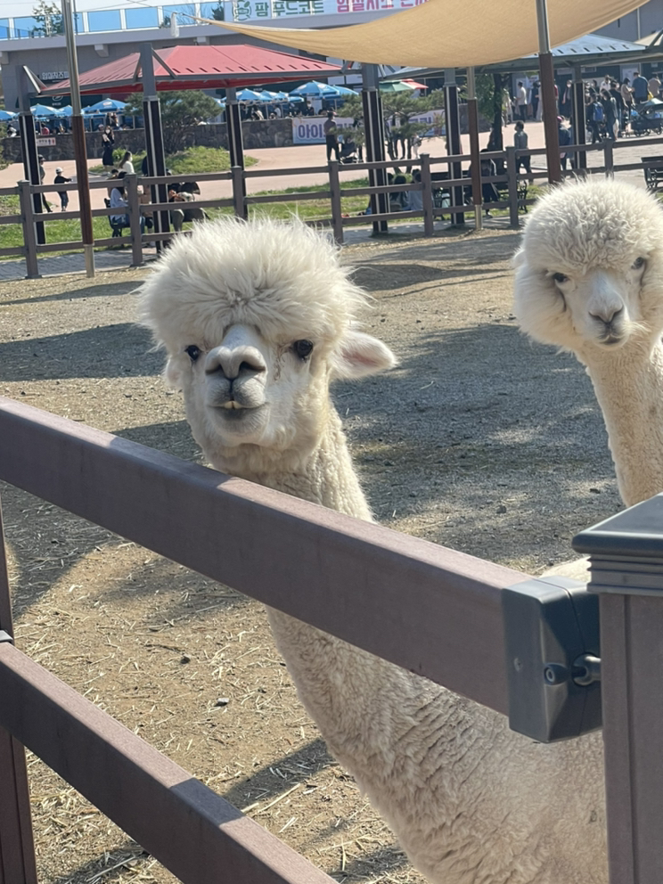 관심 유저 프로필 이미지