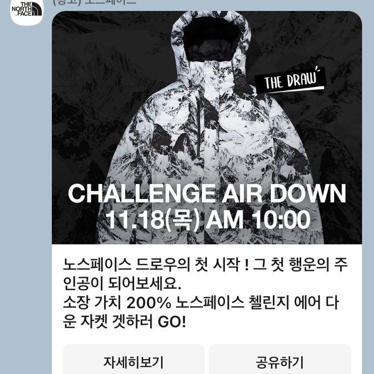 The North Face Challenge Air Down Jacket Gray 착용 스타일 - 1