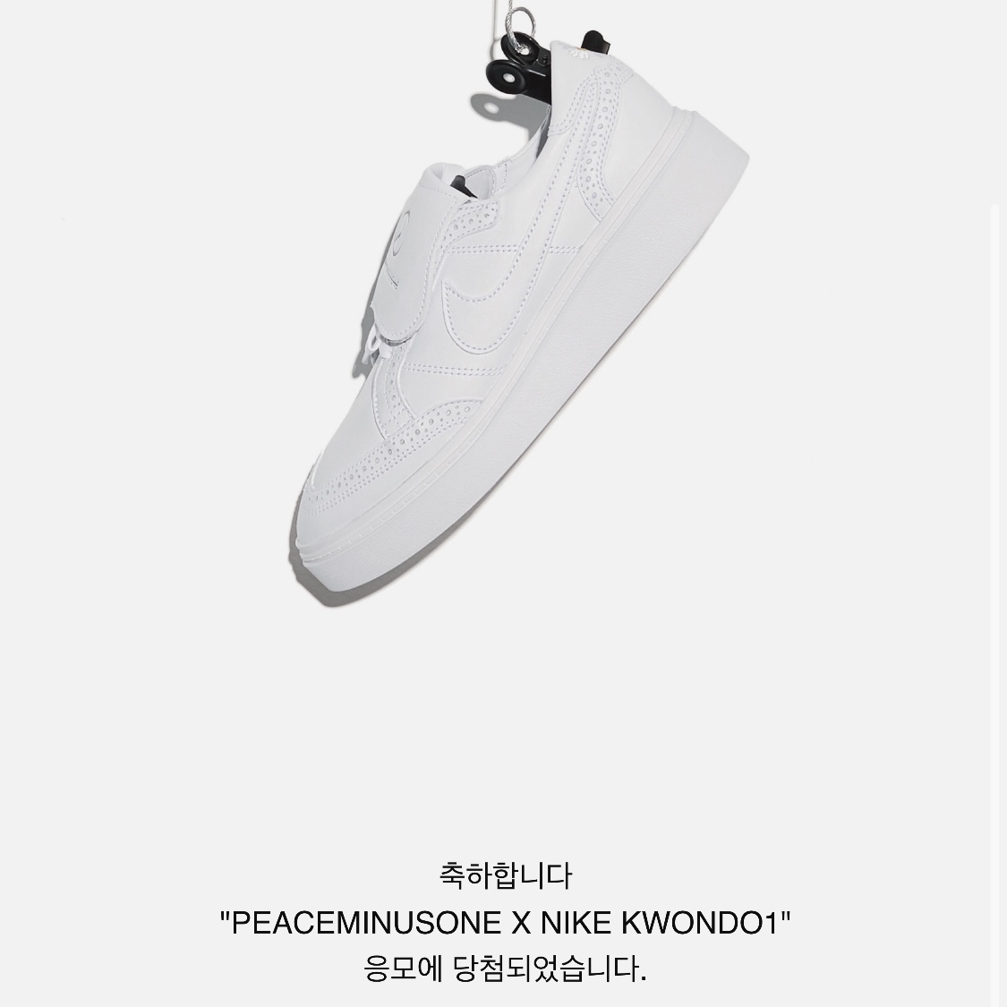 Nike x Peaceminusone Kwondo1 White 착용 스타일