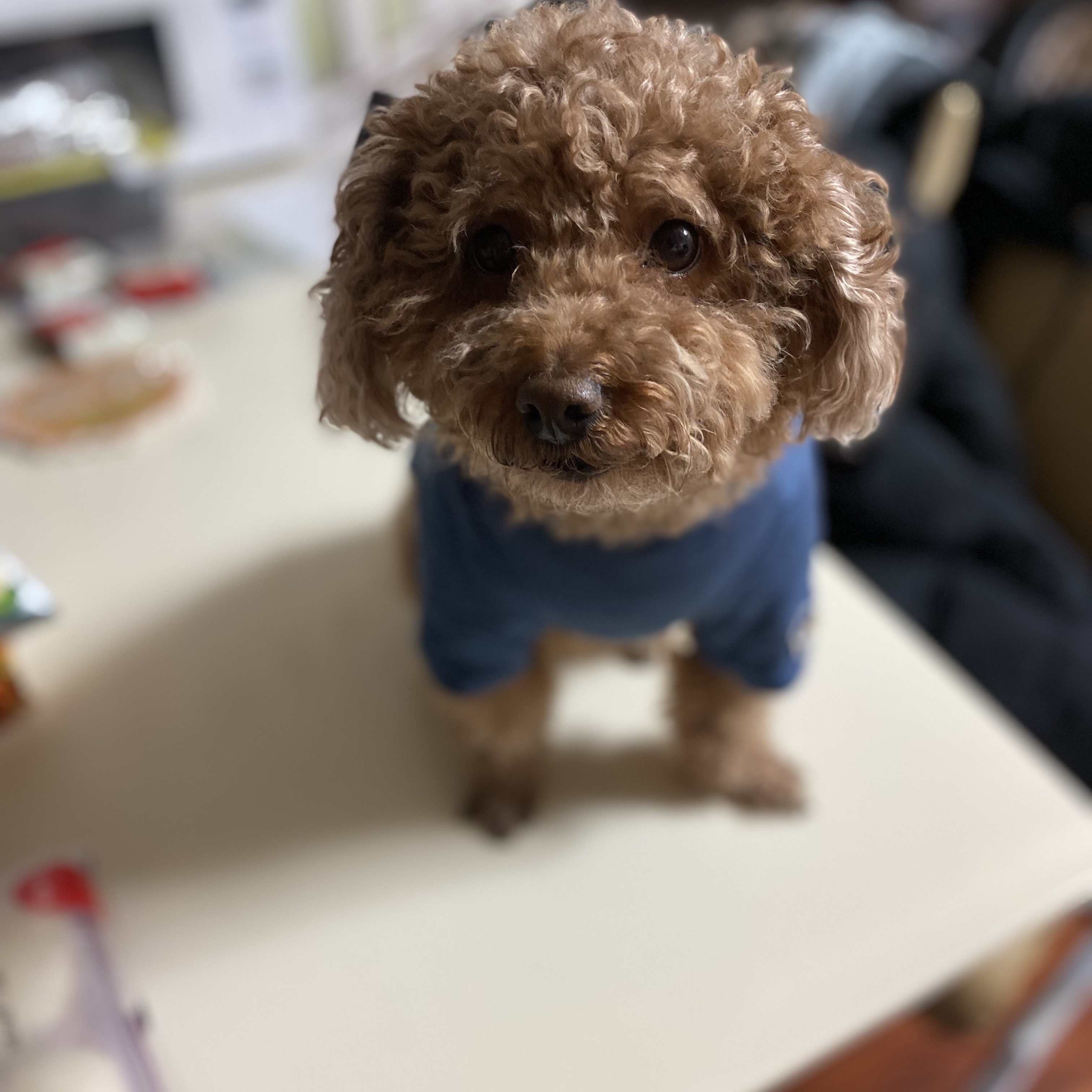 강뽁구님의 스타일