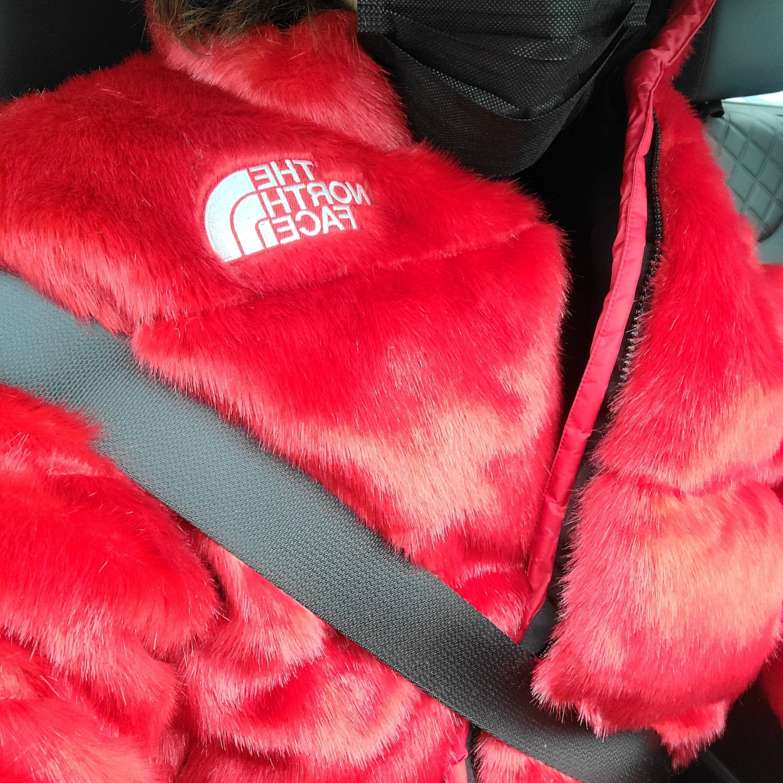 Supreme x The North Face Faux Fur Nuptse Jacket Red - 20FW 착용 스타일 - 2