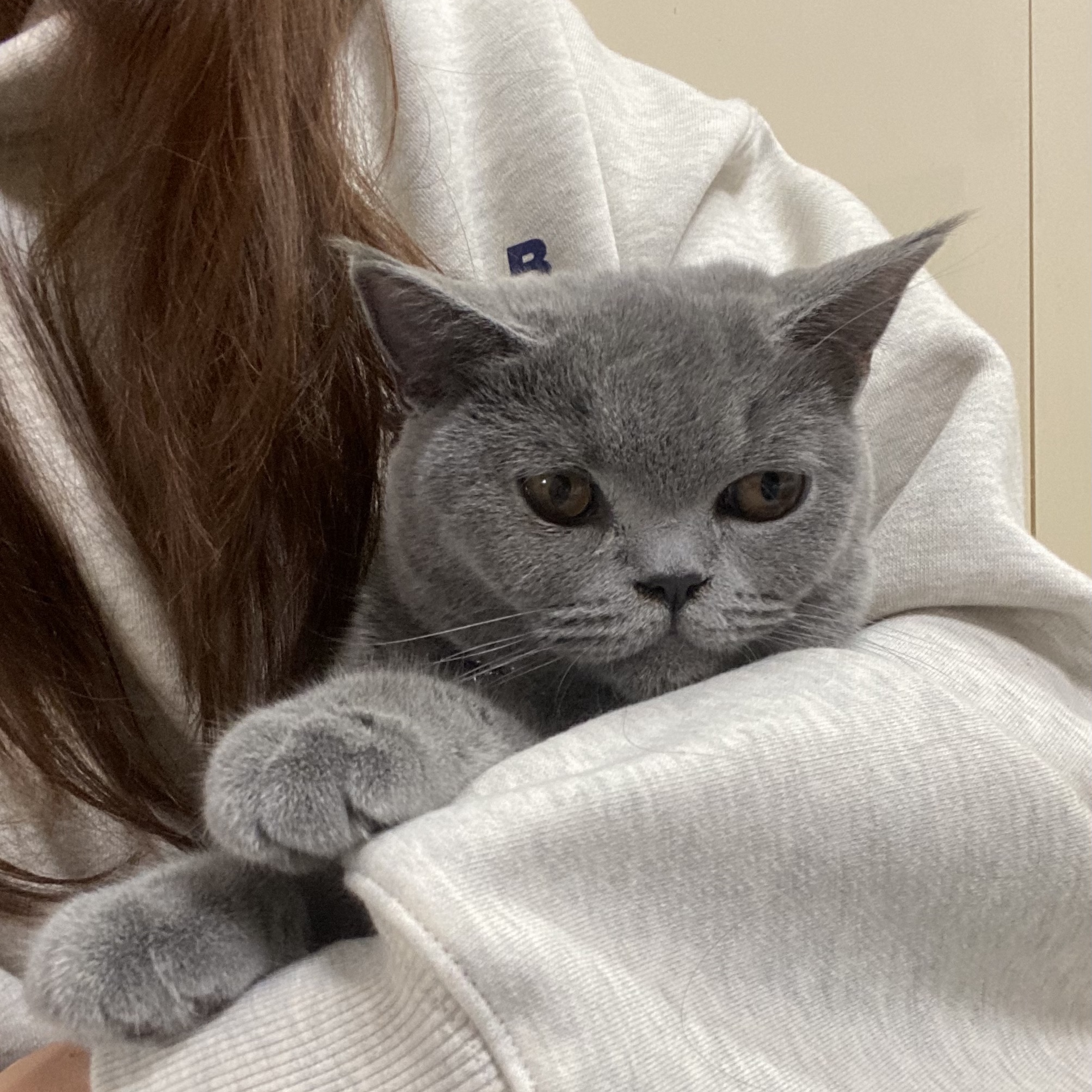 IAB Studio Hoodie Oatmeal Gray - 21SS 착용 스타일