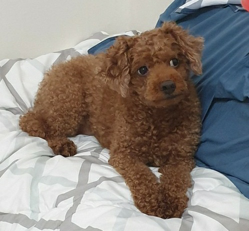 KREAM 프로필 이미지