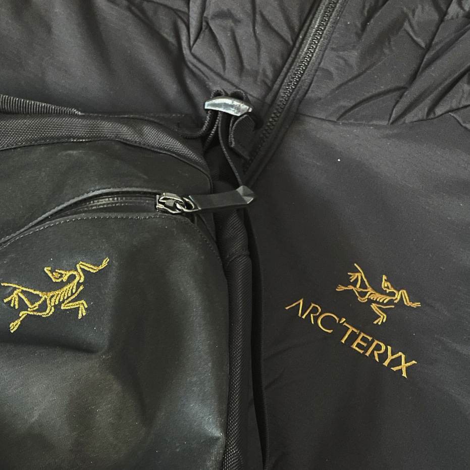 Arc'teryx x Beams Atom AR Hoody Black Gold 착용 스타일