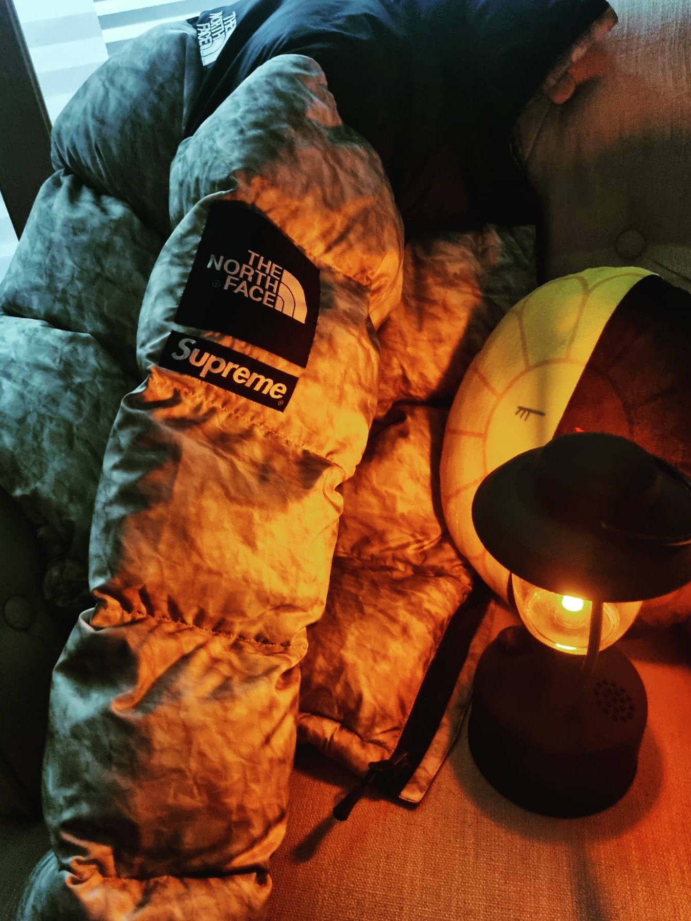 Supreme x The North Face Paper Print Nuptse Jacket - 19FW 착용 스타일