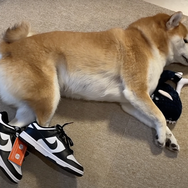 (W) Nike Dunk Low Black 착용 스타일 - 2
