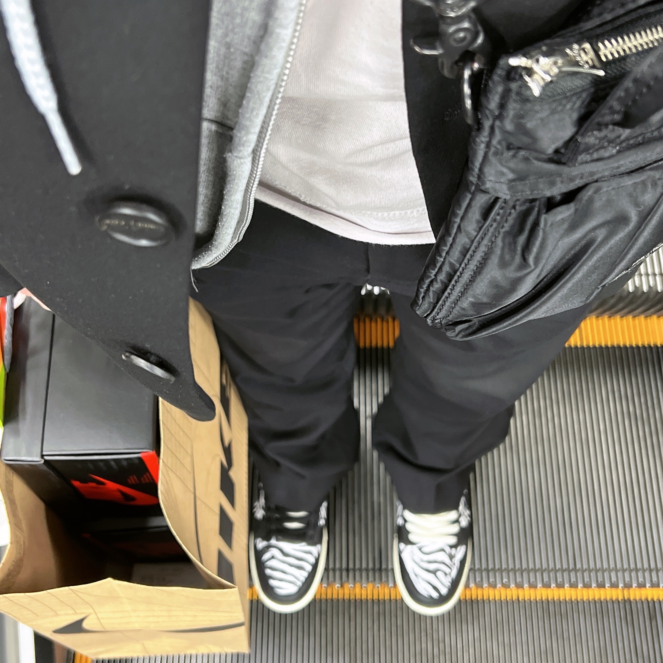 Nike x Quartersnacks SB Dunk Low Zebra Cake 착용 스타일 - 2