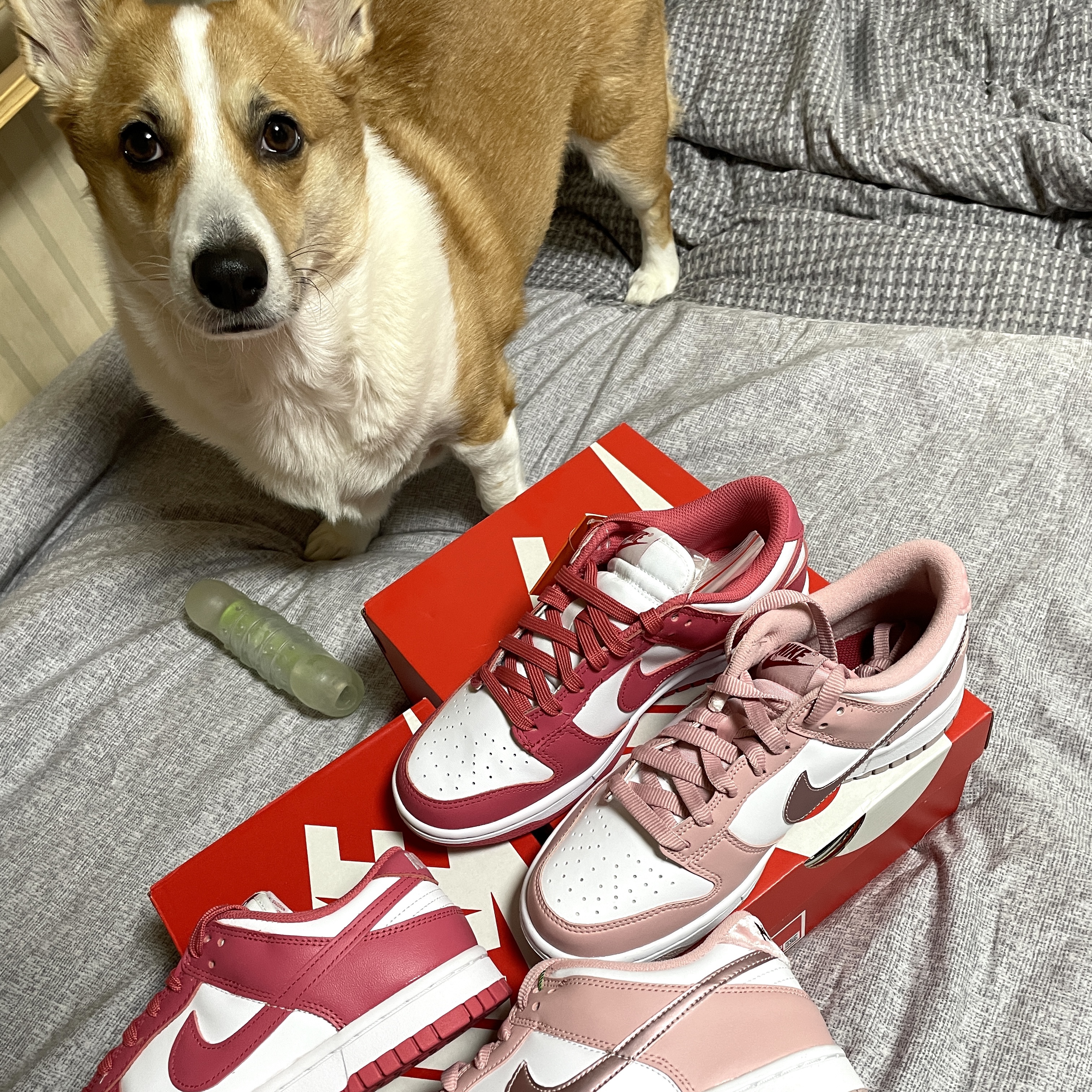 (W) Nike Dunk Low Archeo Pink, (GS) Nike Dunk Low Pink Velvet 착용 스타일 - 5