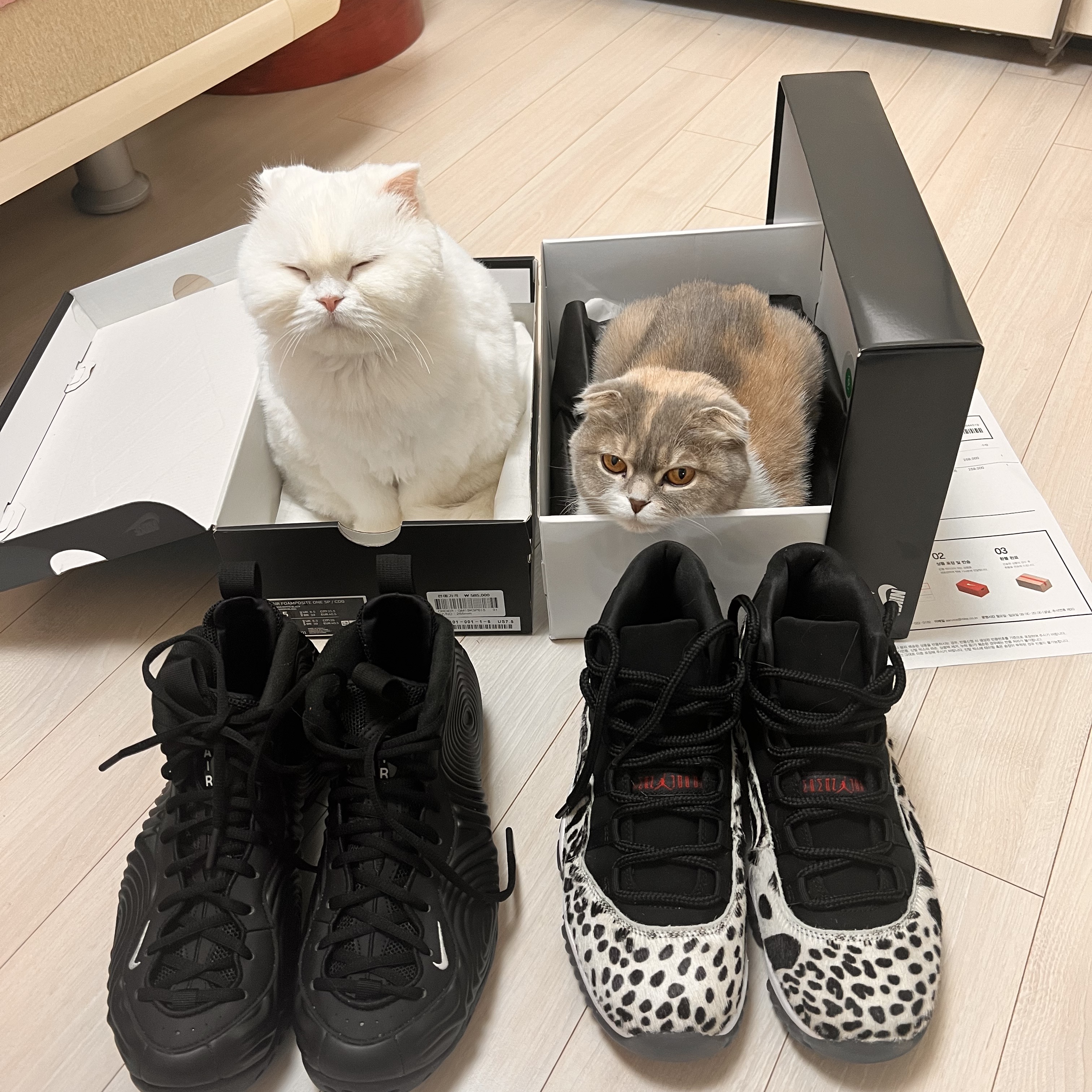 Nike x Comme des Garcons Homme Plus Air Foamposite One Black, (W) Jordan 11 Retro Animal Instinct Black White 착용 스타일