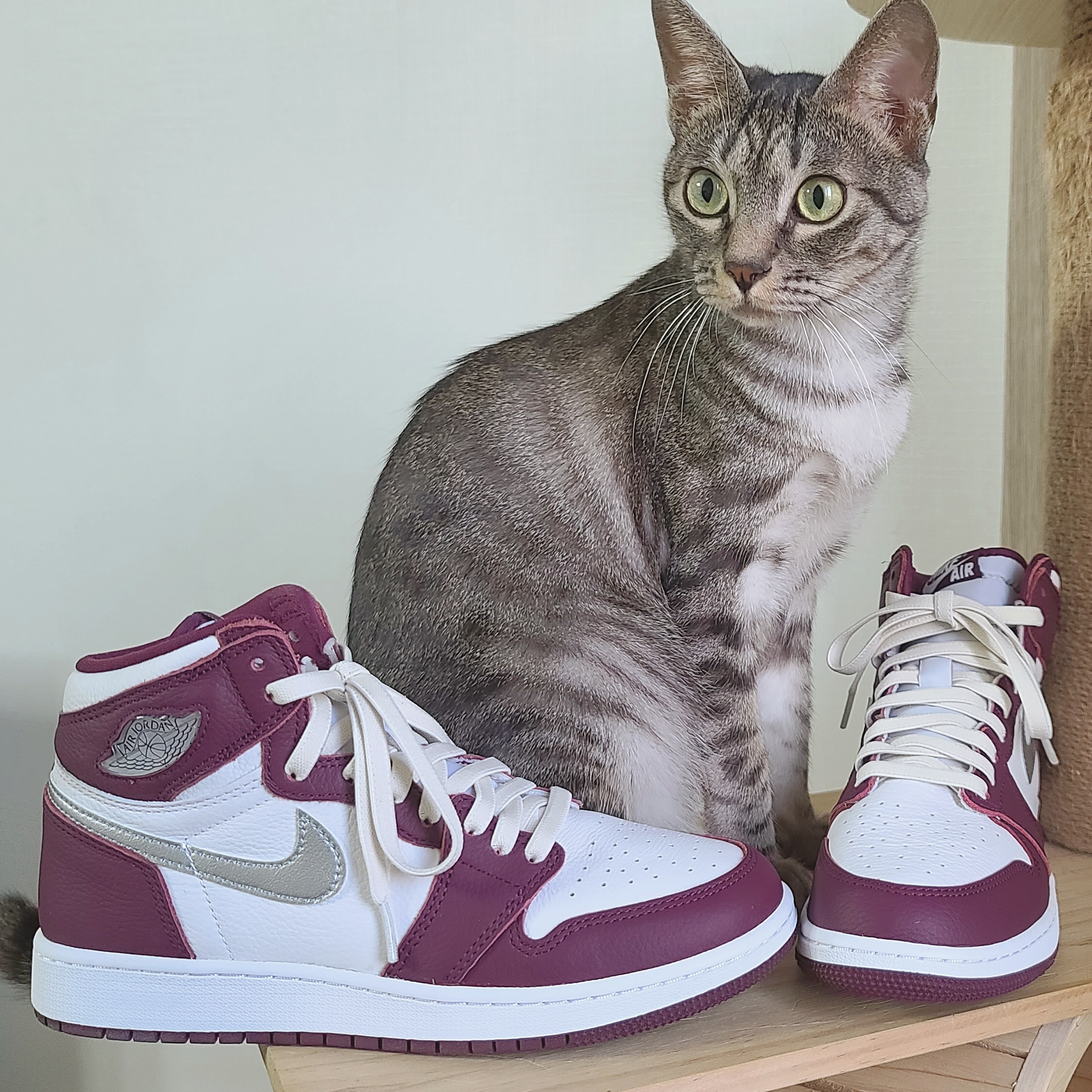Jordan 1 Retro High OG Bordeaux, (GS) Jordan 1 Retro High OG Bordeaux 착용 스타일 - 1