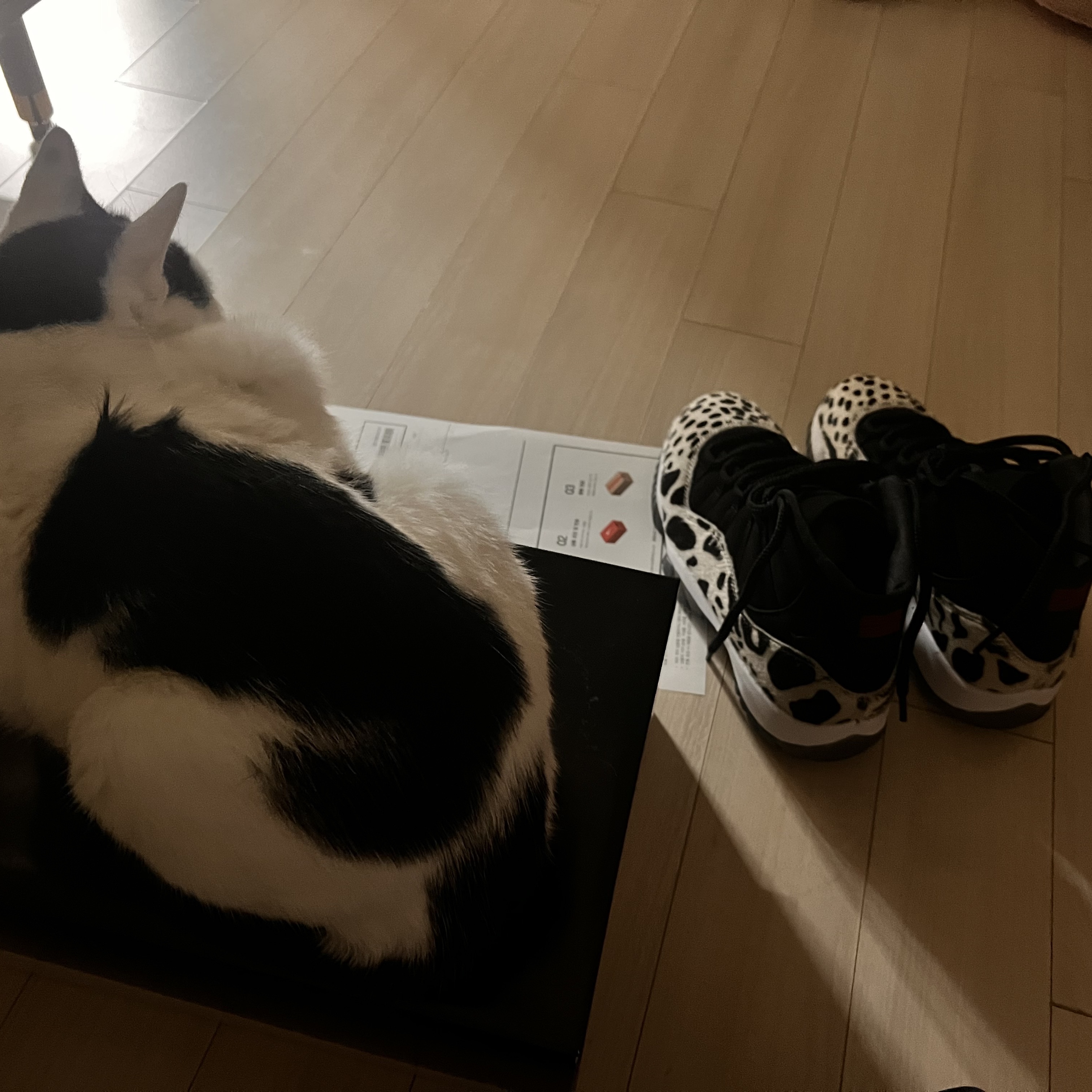 Supreme Cow Print Cardigan Black - 21FW, (W) Jordan 11 Retro Animal Instinct Black White 착용 스타일 - 1