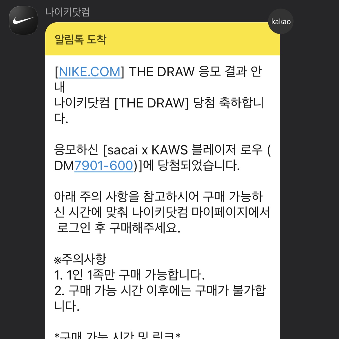 Nike x Sacai x Kaws Blazer Low Team Red 착용 스타일
